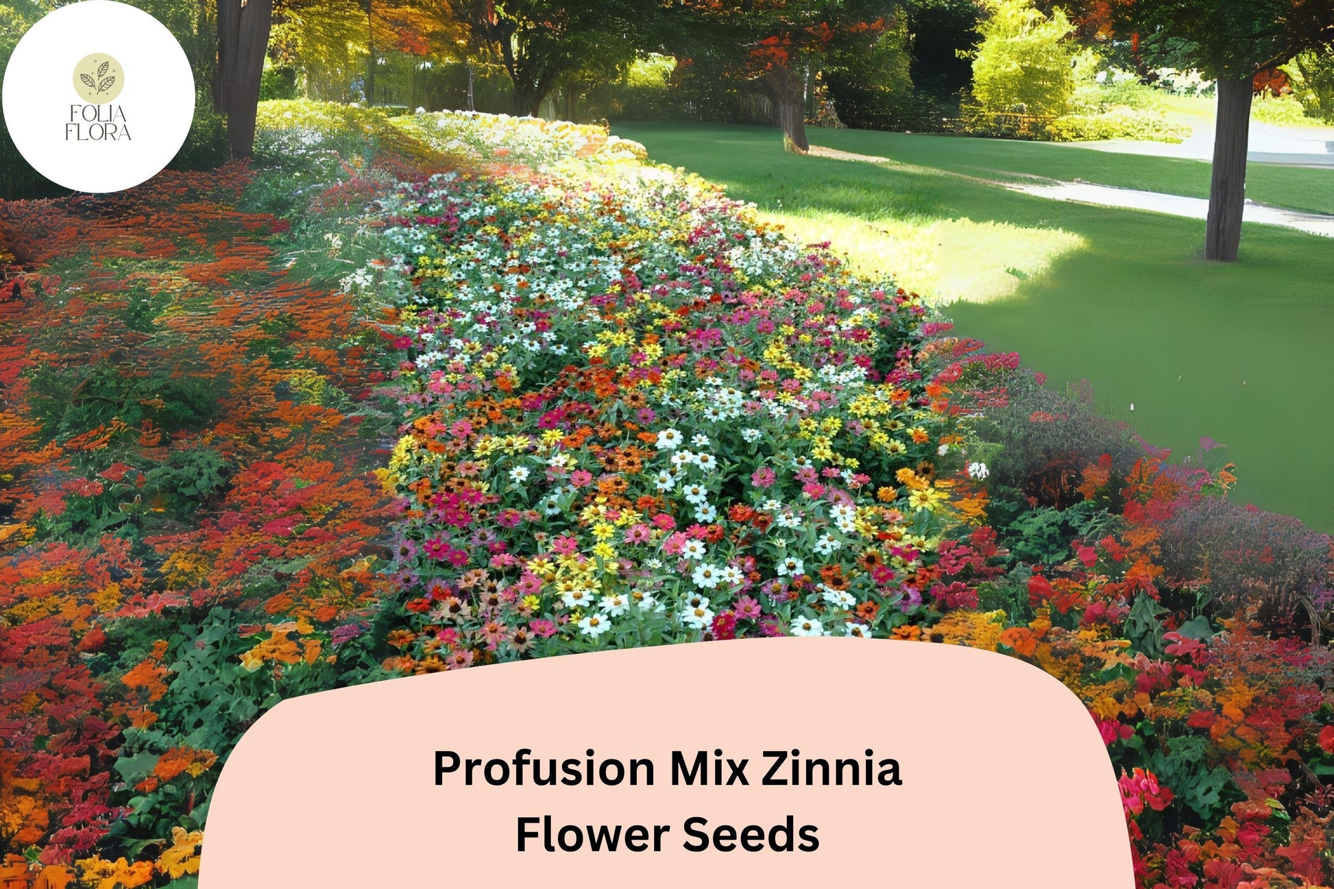 Zinnia Seeds - 100+ Profusion Mix - Multicolor Blooms - Pollinator Friendly - Zinnia elegans - Easy to Grow Annuals