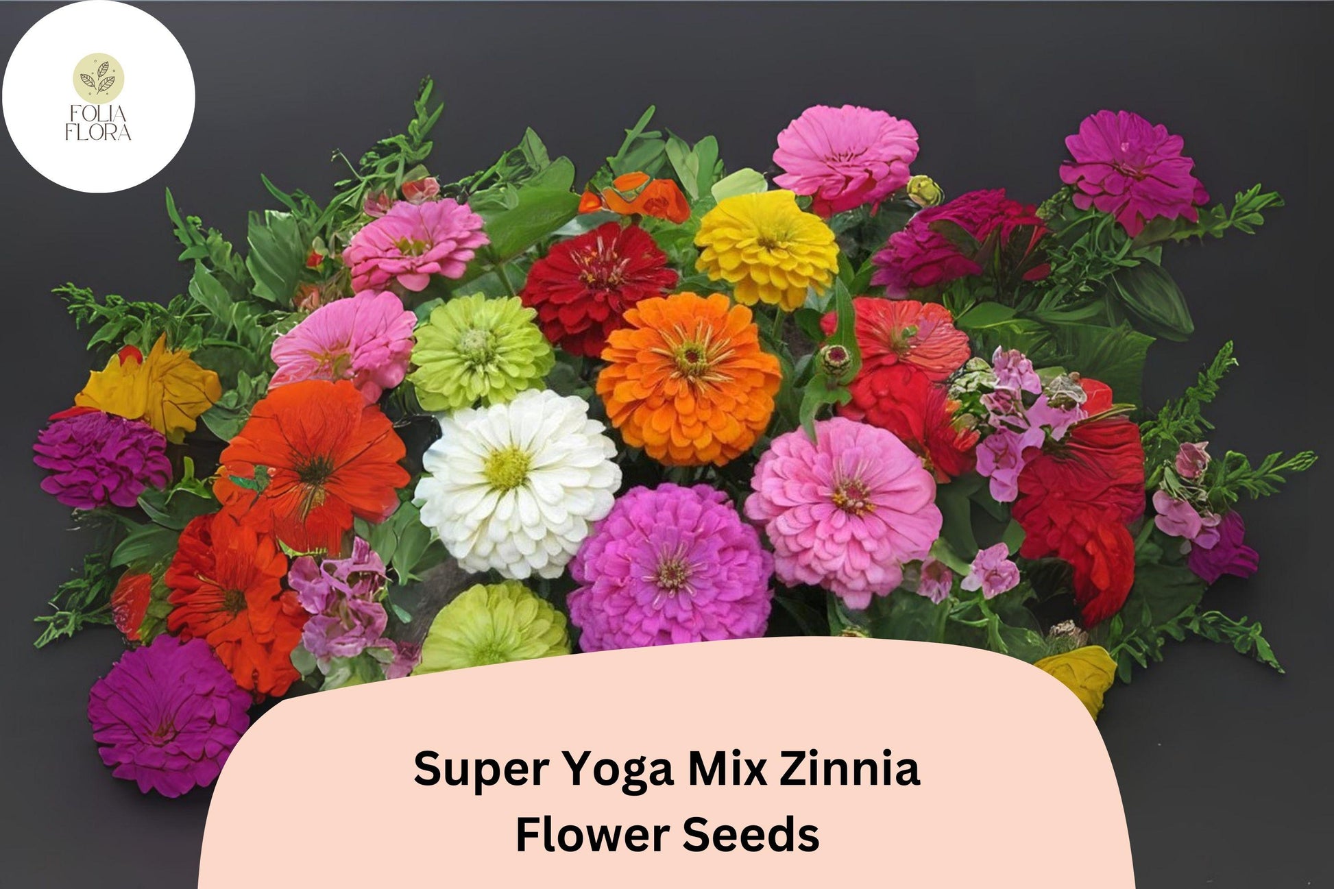 Zinnia Seeds - 100+ Non-GMO Super Yoga Mix - Vibrant Colors - Zinnia elegans
