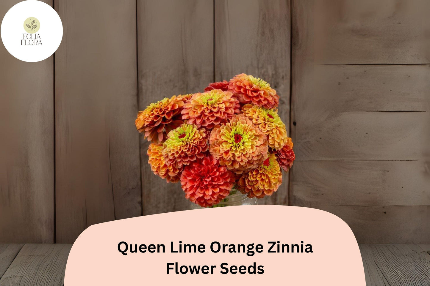 Queen Lime Orange Zinnia Seeds - 100+ Non-GMO Zinnia elegans - Peach, Orange & Lime Blooms for Garden & Bouquets