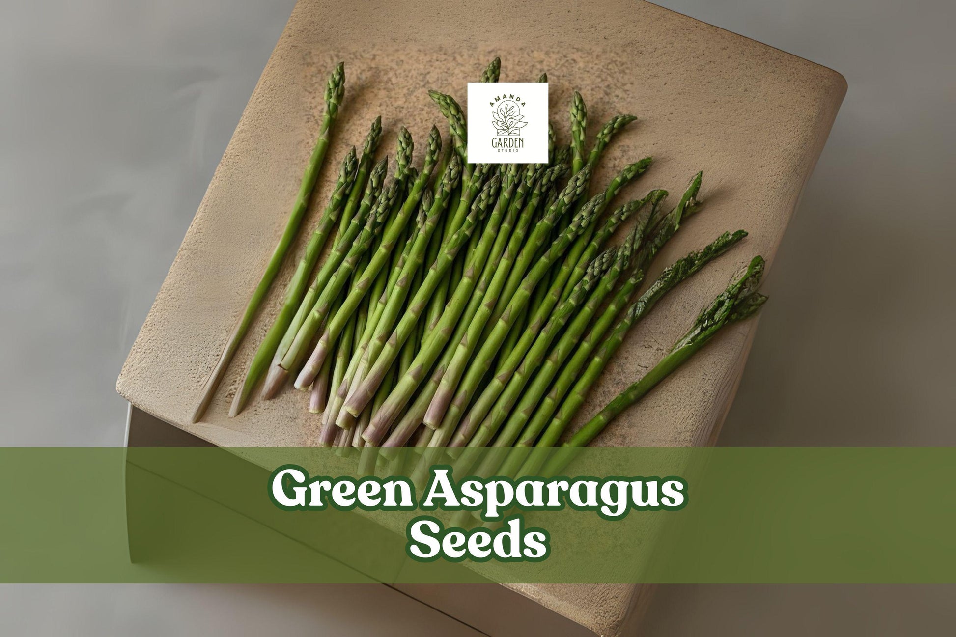 Green Asparagus Seeds - 150 Non-GMO Heirloom Vegetable Seeds for Planting, Asparagus officinalis, Perennial Spears