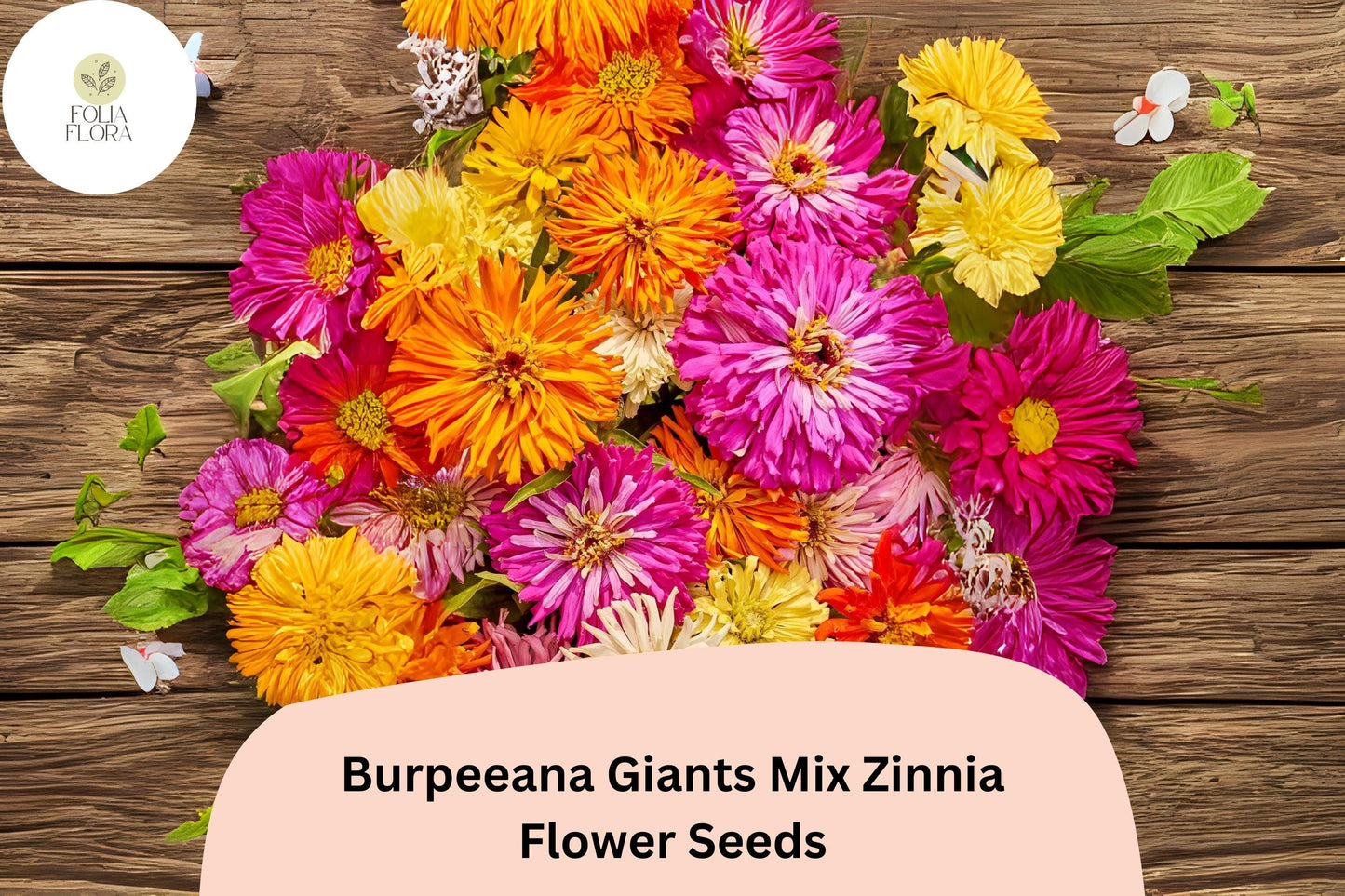 Burpeeana Giants Zinnia Seeds - 100+ Non-GMO Heirloom Mix (Zinnia elegans) - Vibrant Summer Blooms for Cutting & Gardens
