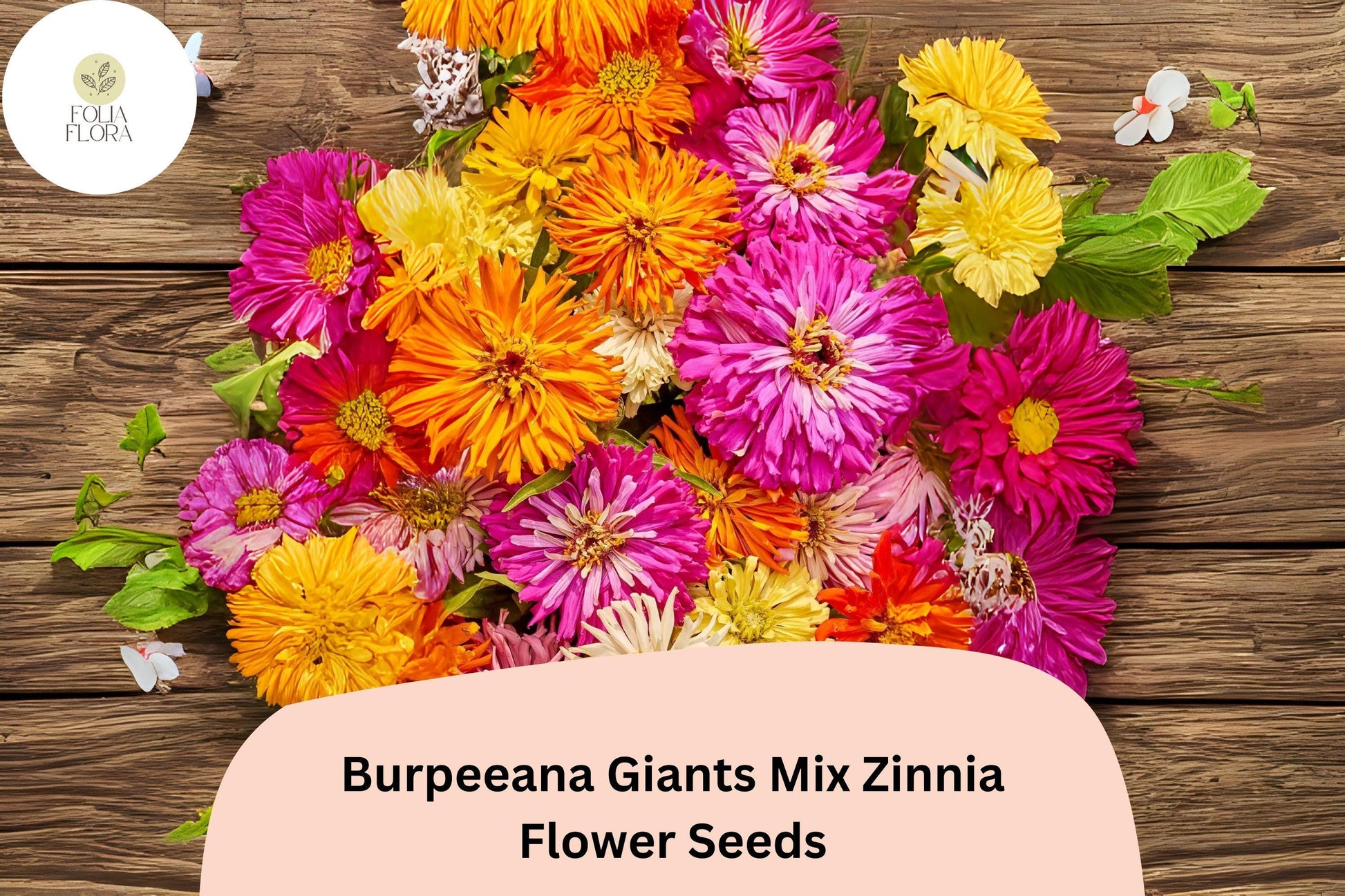 Burpeeana Giants Zinnia Seeds - 100+ Non-GMO Heirloom Mix (Zinnia elegans) - Vibrant Summer Blooms for Cutting & Gardens