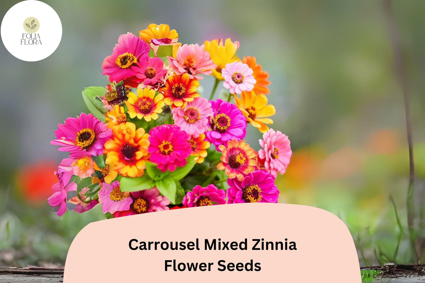 100+ Carrousel Mix Zinnia Seeds - Bi-Color Blooms for Summer Gardens - Zinnia elegans - Non-GMO, Attracts Butterflies