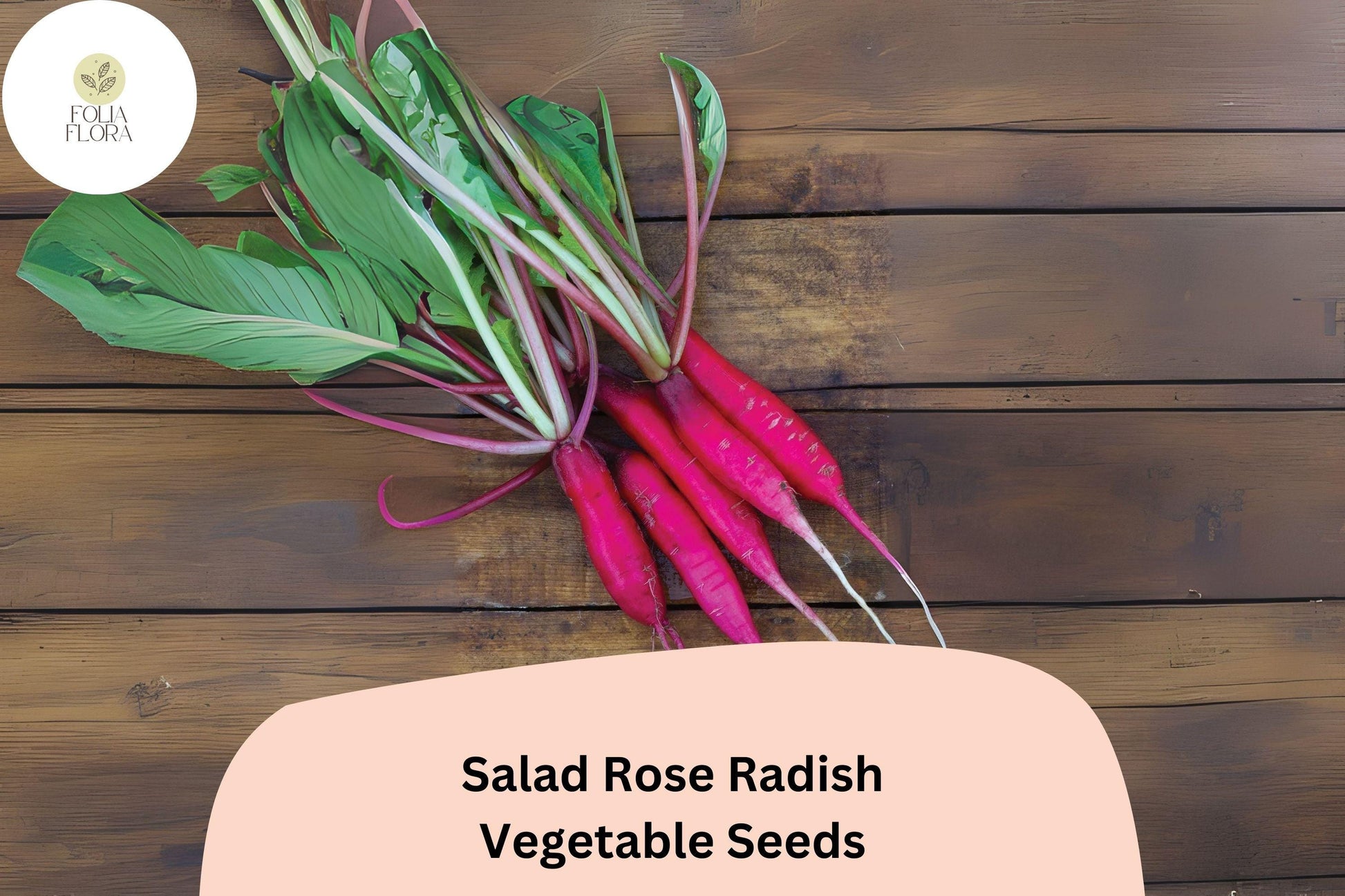 Salad Rose Radish Seeds - 500+ Non-GMO Heirloom Seeds - Pink Cylindrical Roots, Raphanus sativus, Easy to Grow