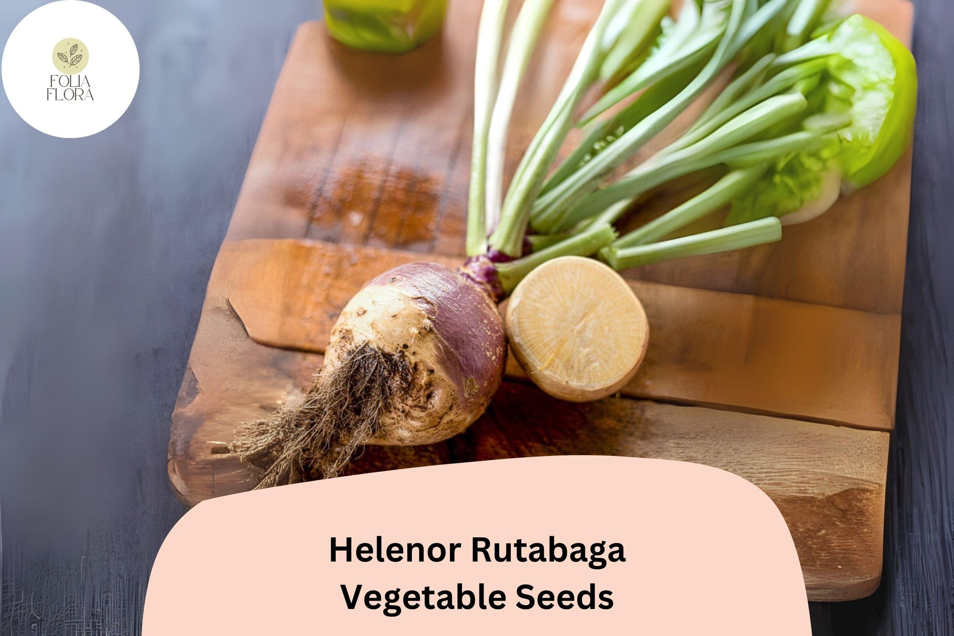 500+ Helenor Rutabaga Seeds, Heirloom Brassica Root Vegetable, Non-GMO, Purple Shoulders, Golden Flesh, Brassica napobrassica