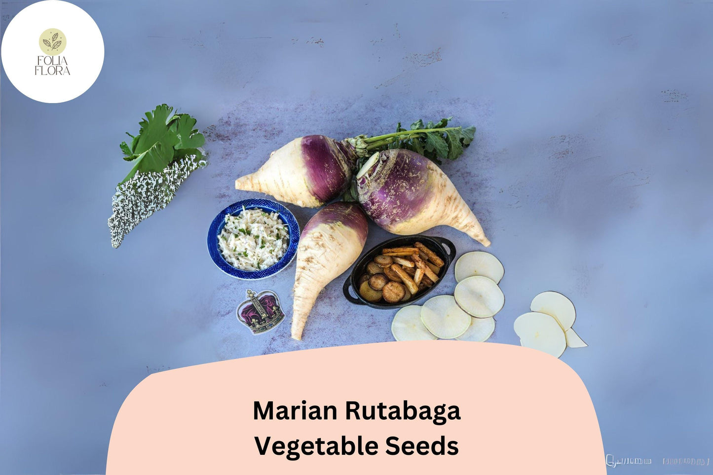 Marian Rutabaga Seeds - 500+ Heirloom Non-GMO Root Vegetable Seeds (Brassica napobrassica) - Purple Top, Golden Flesh