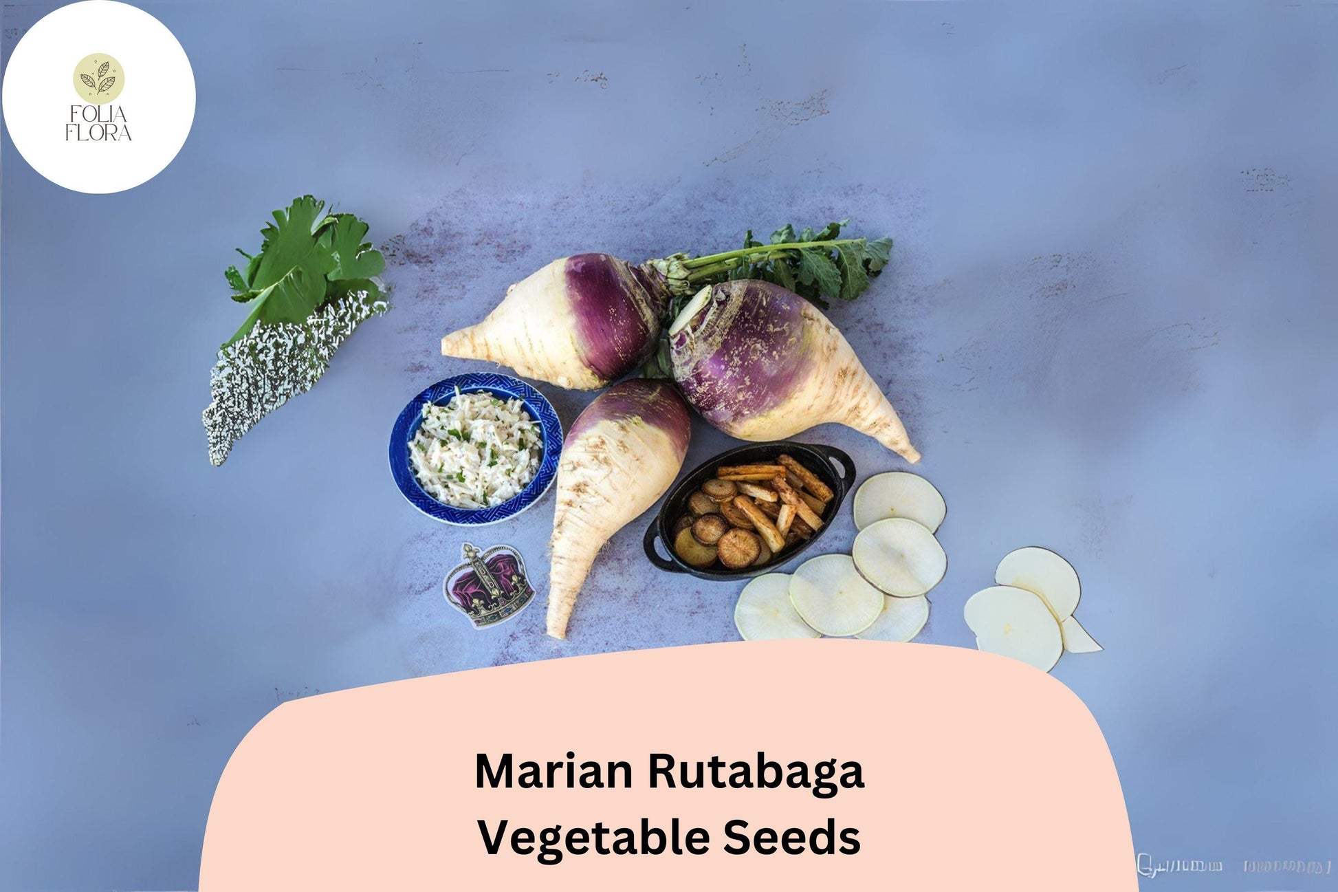 Marian Rutabaga Seeds - 500+ Heirloom Non-GMO Root Vegetable Seeds (Brassica napobrassica) - Purple Top, Golden Flesh