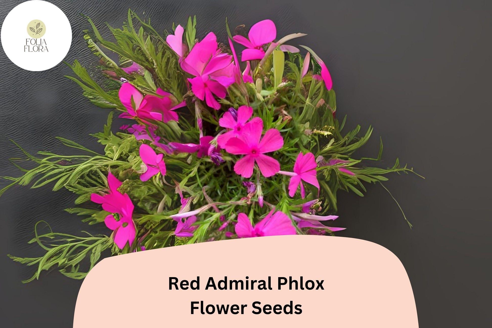 Red Admiral Phlox Seeds - 100+ Premium Bright Red Flowers - Phlox drummondii - Attracts Butterflies, Ideal for Gardens & Containers