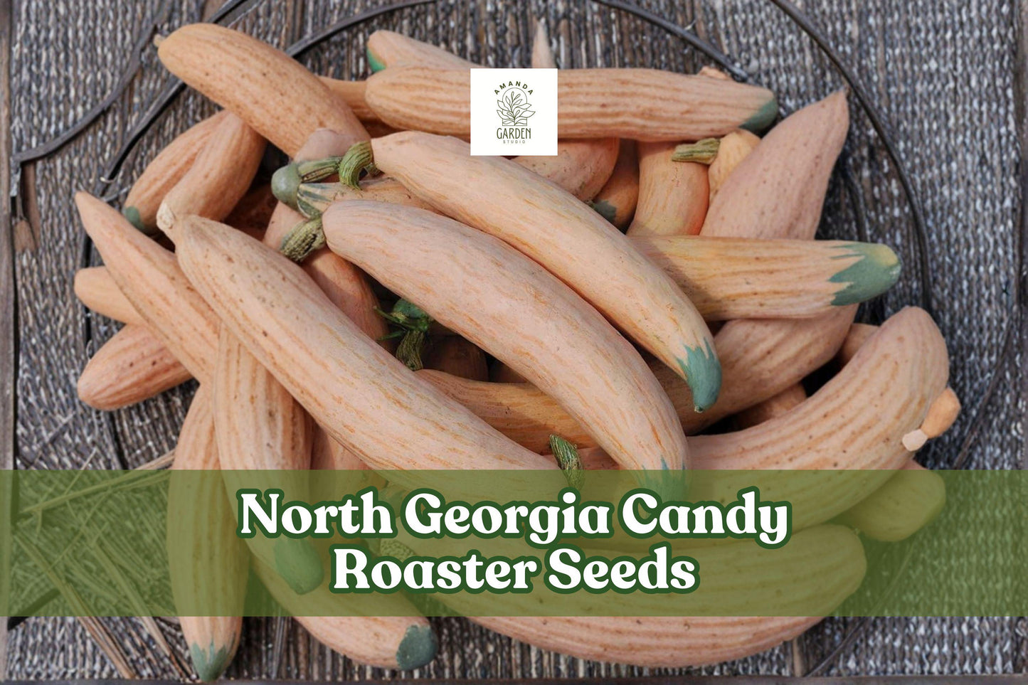 Heirloom Seeds - 10 North Georgia Candy Roaster Squash Seeds - Cucurbita maxima - Sweet Flavor, High-Yielding, Non-GMO
