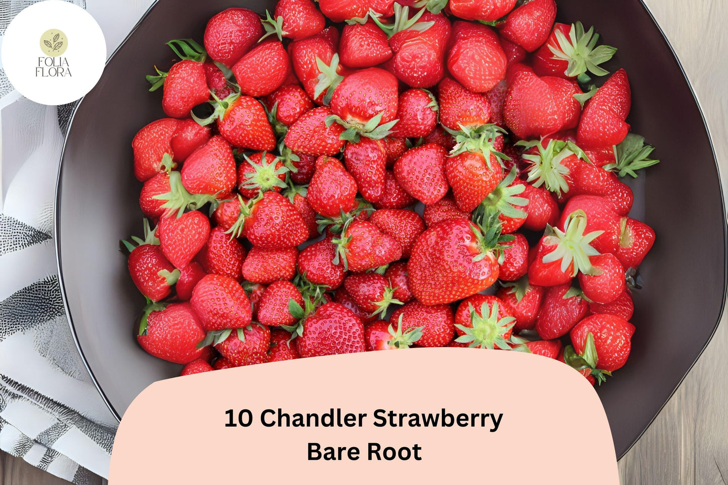 10 Bare Root Chandler Strawberry Plants | June Bearing | Fragaria × ananassa | Sweet Red Berries for Garden or Container