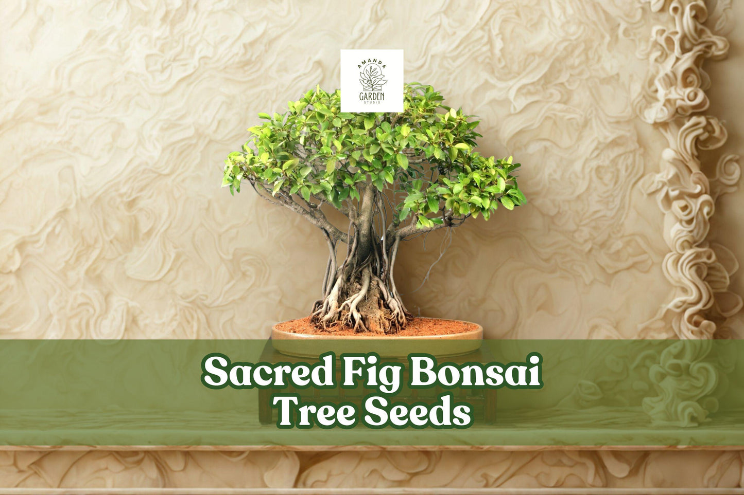 Sacred Fig Bonsai Tree Seeds | 25+ Ficus religiosa Seeds | Ornamental with Heart-Shaped Leaves | Ideal for Bonsai Gardening