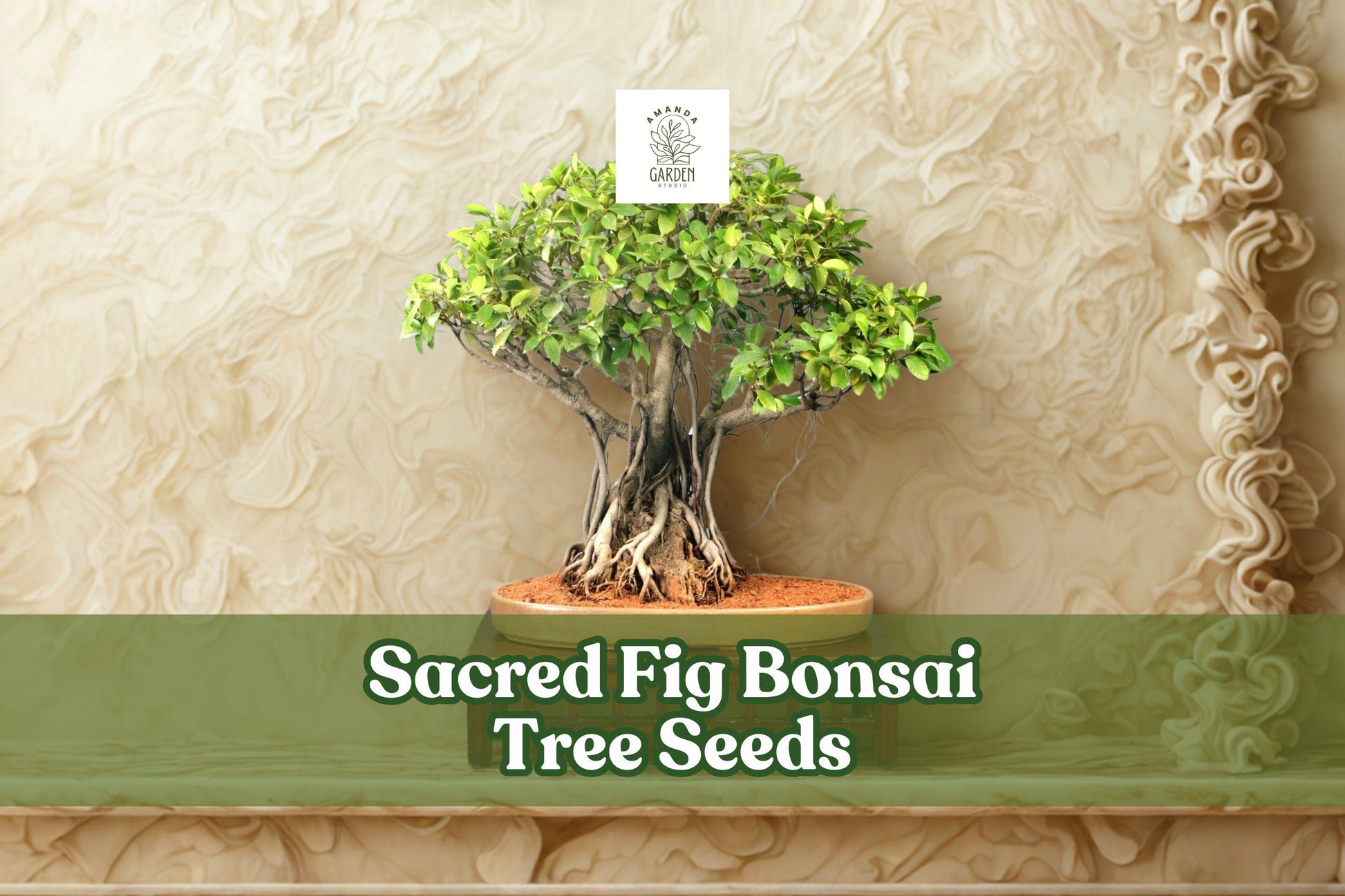 Sacred Fig Bonsai Tree Seeds | 25+ Ficus religiosa Seeds | Ornamental with Heart-Shaped Leaves | Ideal for Bonsai Gardening
