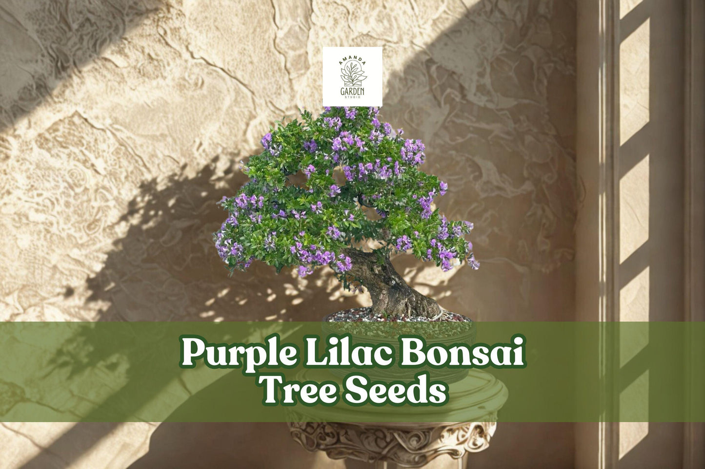 Purple Lilac Bonsai Tree Seeds | 30+ Fragrant Syringa vulgaris Seeds for Ornamental Miniature Trees