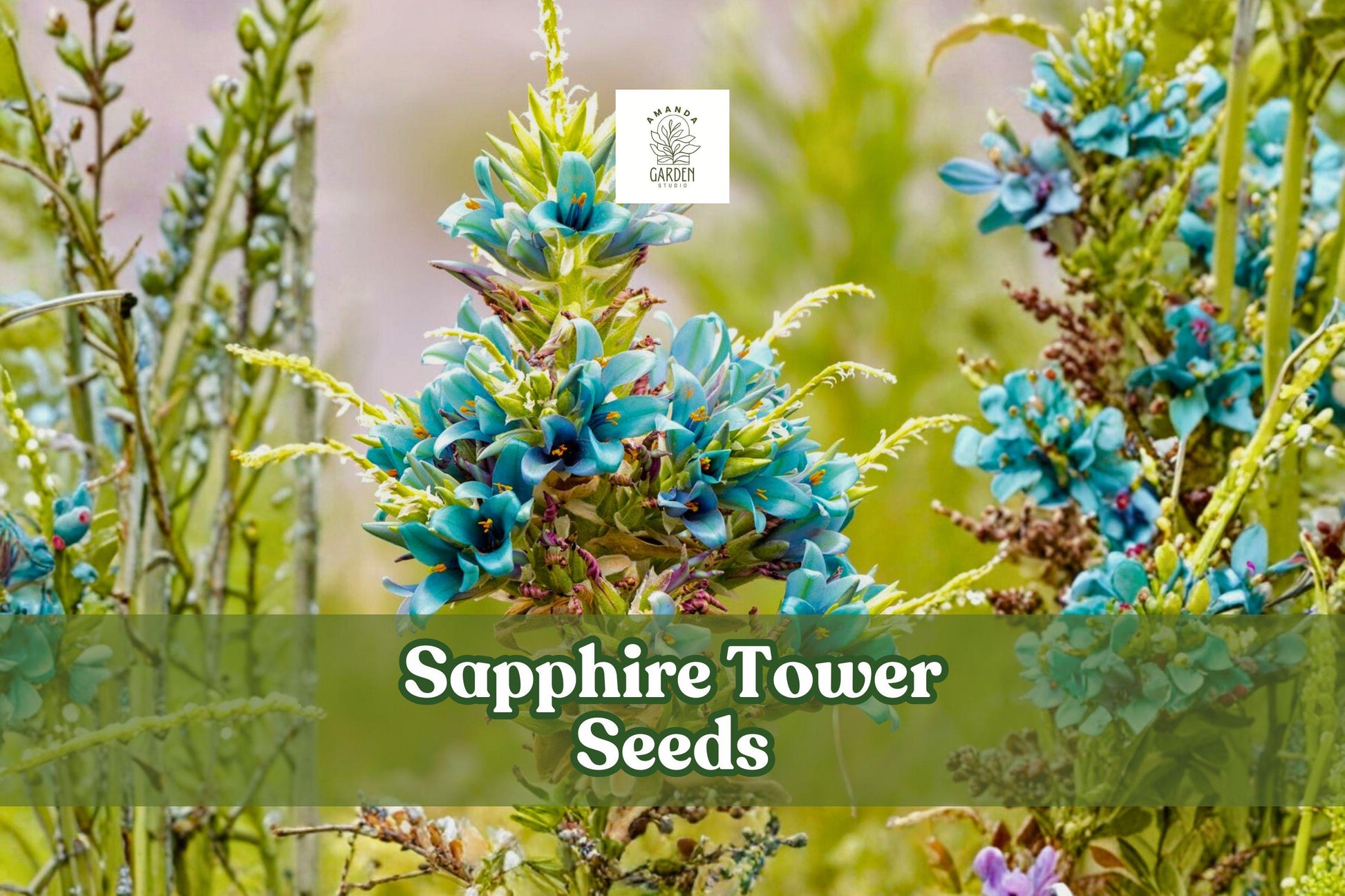 Sapphire Tower Seeds (10) | Rare Puya alpestris | Metallic Blue-Green Flowers | Drought-Tolerant Ornamental Plant