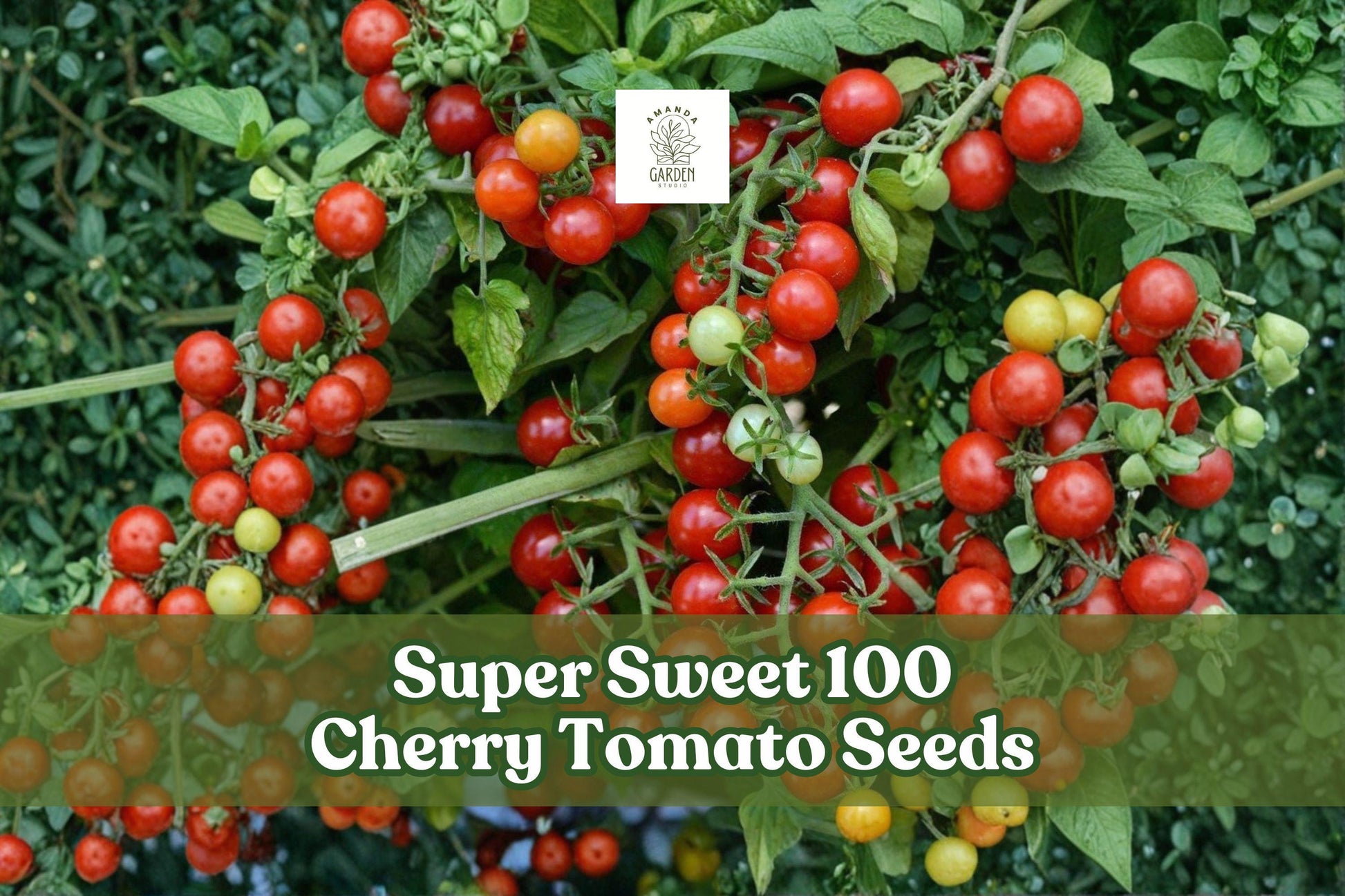 Super Sweet 100 Cherry Tomato Seeds | 100+ Seeds | Solanum lycopersicum | Easy to Grow, Extra Sweet, Perfect for Garden