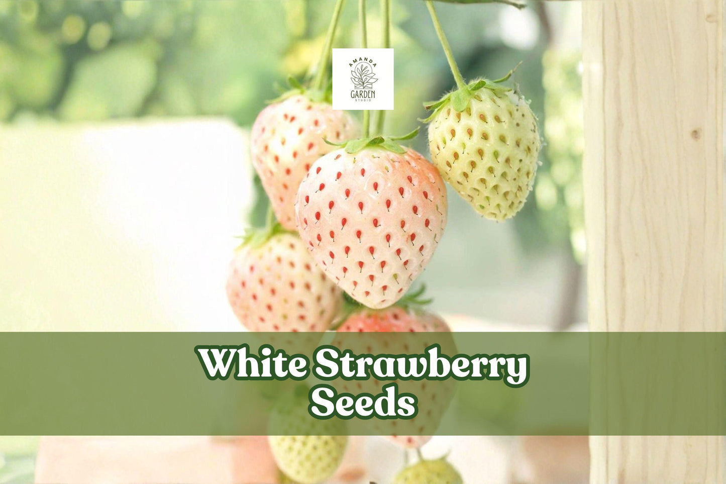 White Strawberry Seeds | 500+ Pineberry Seeds | Fragaria × ananassa | Unique Fruit for Home Gardeners