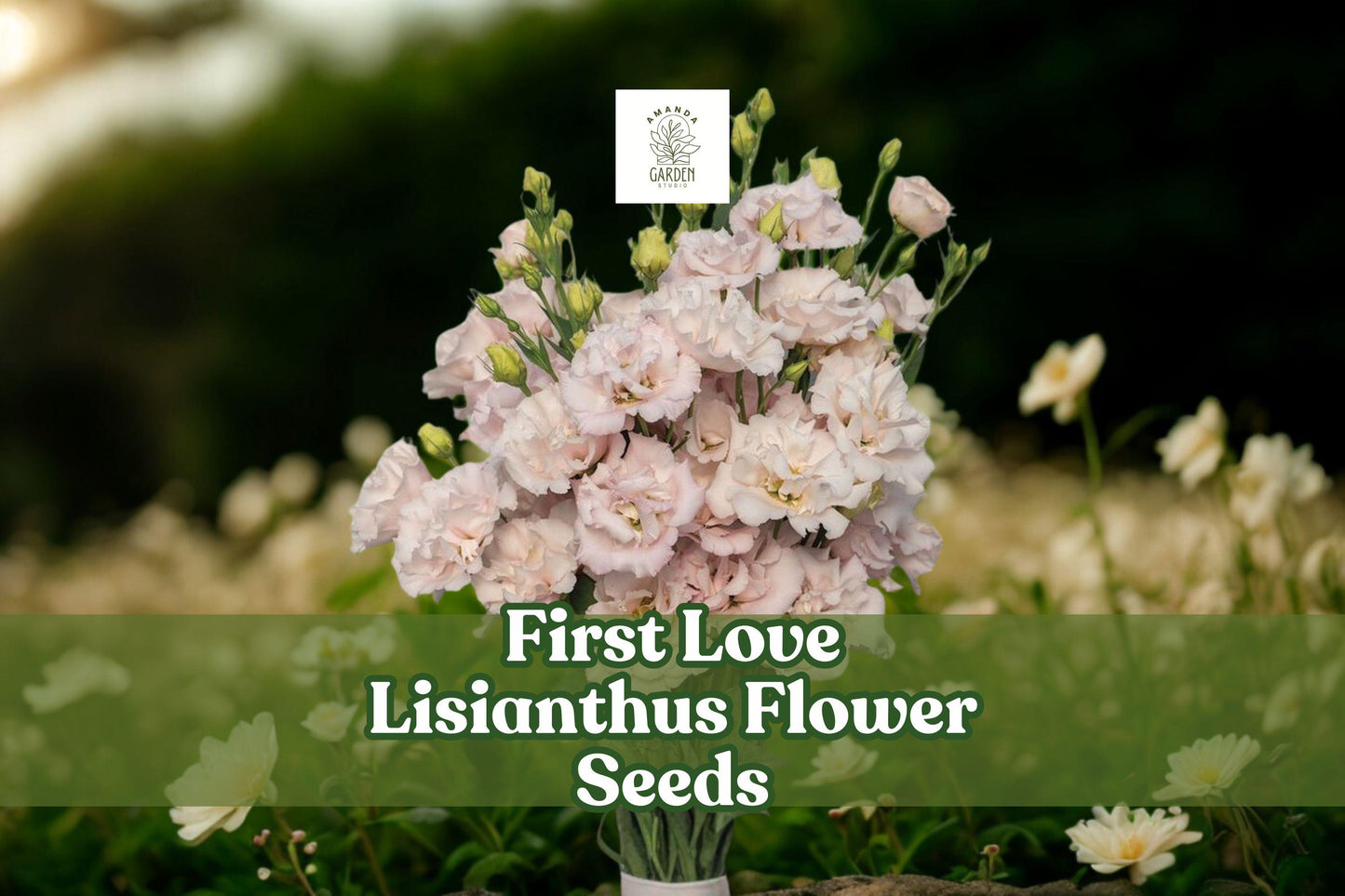 First Love Lisianthus Seeds - 20 Pelleted Soft Pink Eustoma grandiflorum for Garden, Bouquets, Floral Arrangements