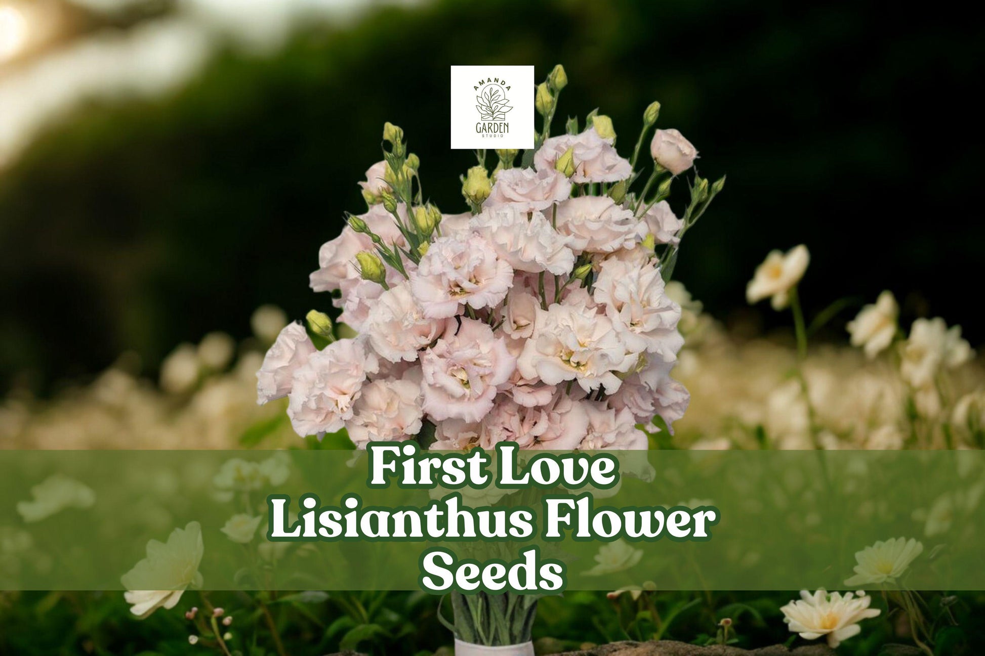 First Love Lisianthus Seeds - 20 Pelleted Soft Pink Eustoma grandiflorum for Garden, Bouquets, Floral Arrangements