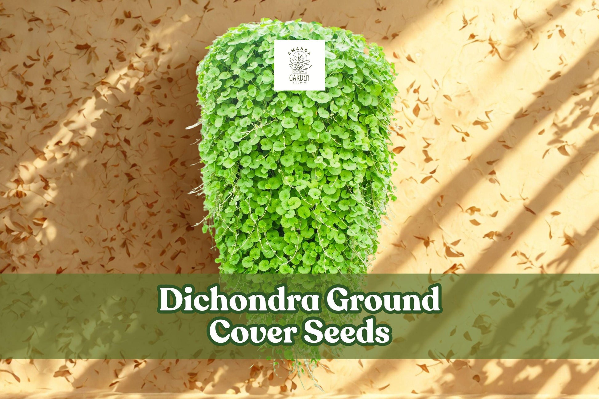 Dichondra Repens Seeds (100) | Evergreen Ground Cover Lawn Alternative | Kidney Weed | Bright Green Foliage