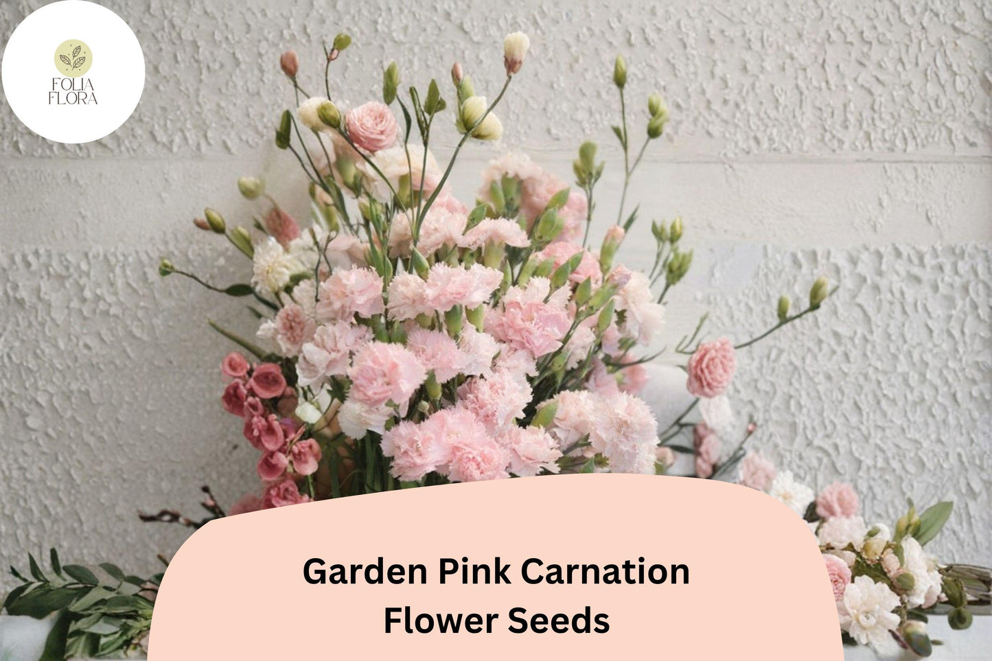 Garden Pink Carnation Seeds - 200+ Fragrant Pink Blooms, Hardy Perennial, Dianthus plumarius, Cottage Garden Flowers