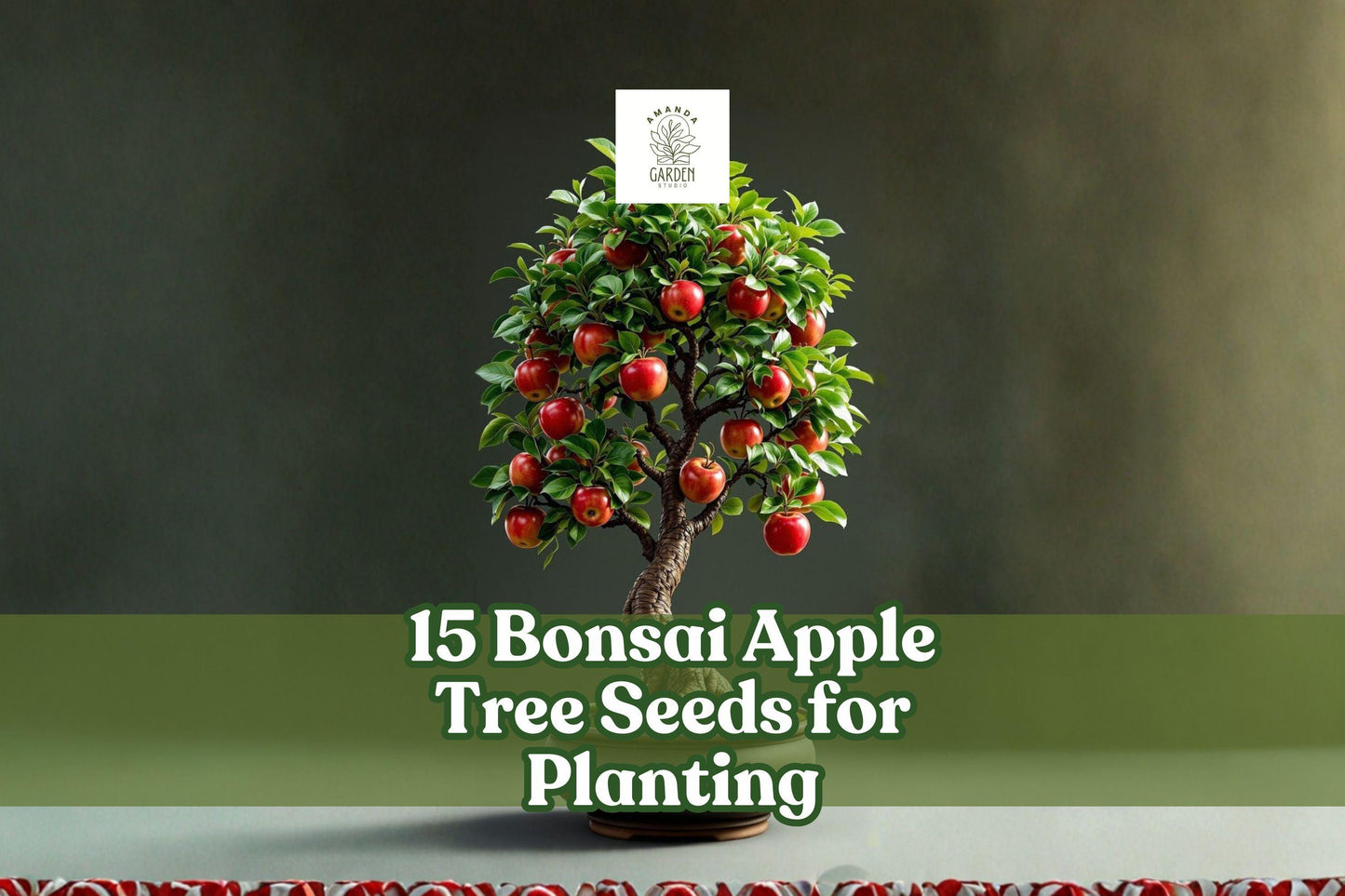Bonsai Apple Tree Seeds - 15 Malus domestica for Container & Indoor Growing - Mini Fruit Tree for Bonsai Cultivation