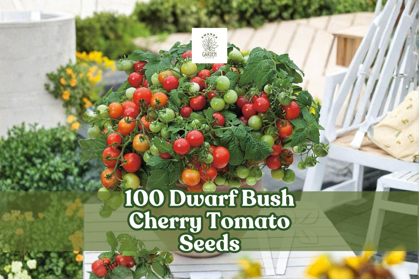 Dwarf Bush Cherry Tomato Seeds - 100 Count for Planting - Compact Red Tomatoes (Solanum lycopersicum) for Containers & Patios
