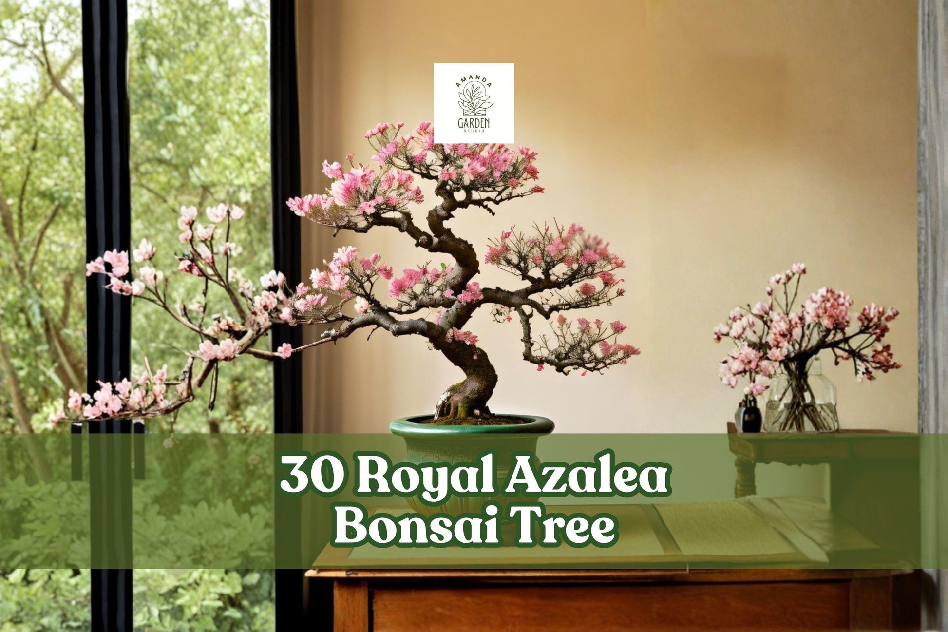 Royal Azalea Bonsai Seeds - 30 Pink Flower Seeds, Rhododendron schlippenbachii, Hardy Ornamental Shrub for Gardens