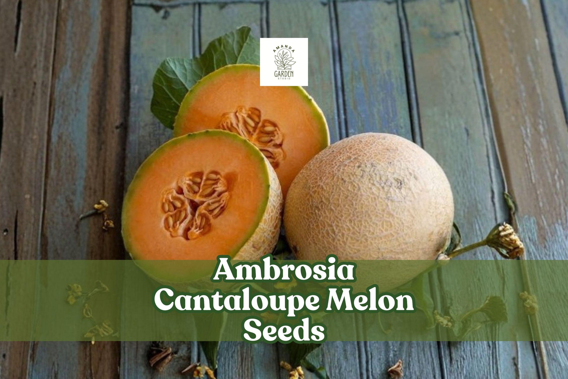 10 Ambrosia Cantaloupe Seeds for Planting | Sweet Melon Variety | Cucumis melo | Ideal for Home Garden and Trellises