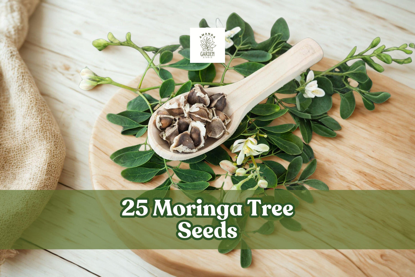 25 Moringa Tree Seeds for Planting | Moringa oleifera | Fast Growing Tropical Tree for Warm Climates