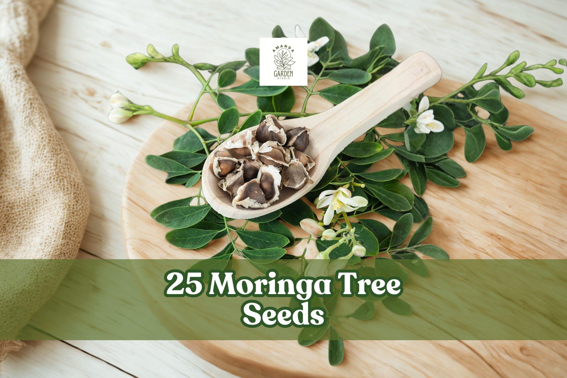25 Moringa Tree Seeds for Planting | Moringa oleifera | Fast Growing Tropical Tree for Warm Climates