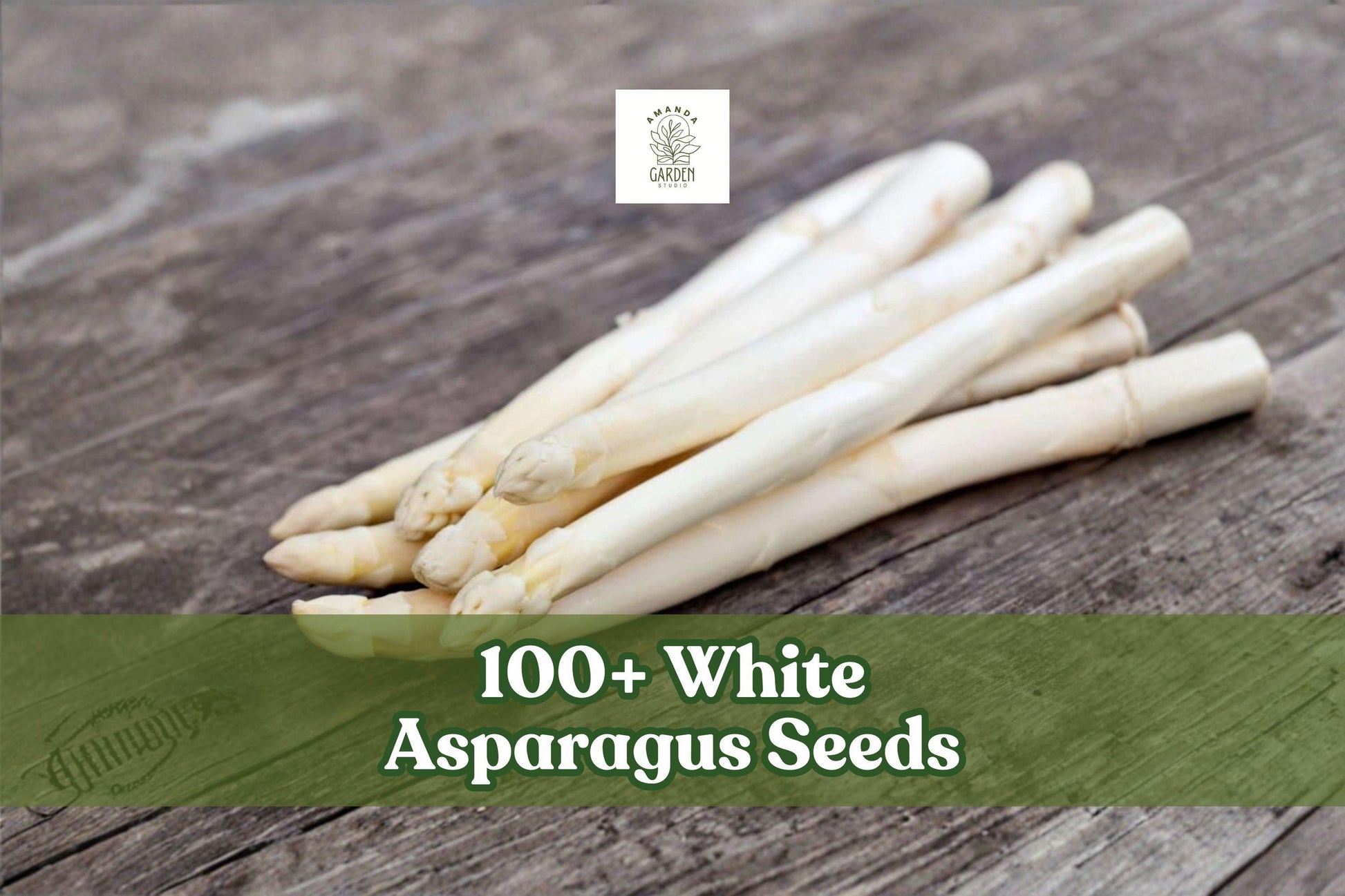 White Asparagus Seeds 100+ Count | Rare Asparagus officinalis Variety for Planting | Perennial Vegetable Garden Seeds