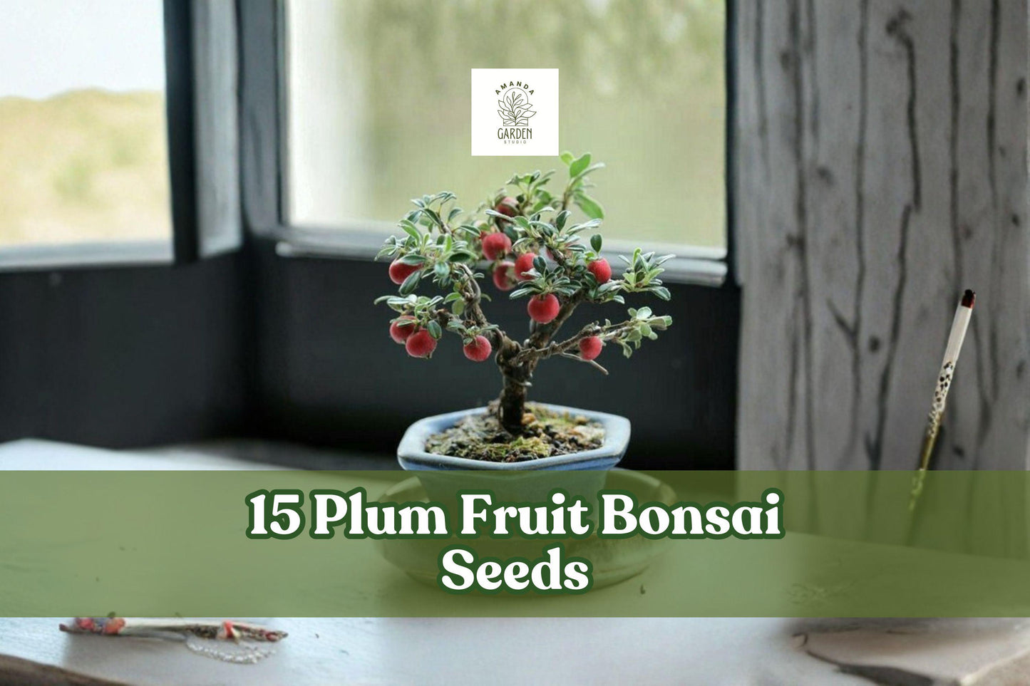 15 Plum Fruit Bonsai Seeds for Planting - Prunus americana - Ornamental Tree for Bonsai or Garden - American Plum Seeds