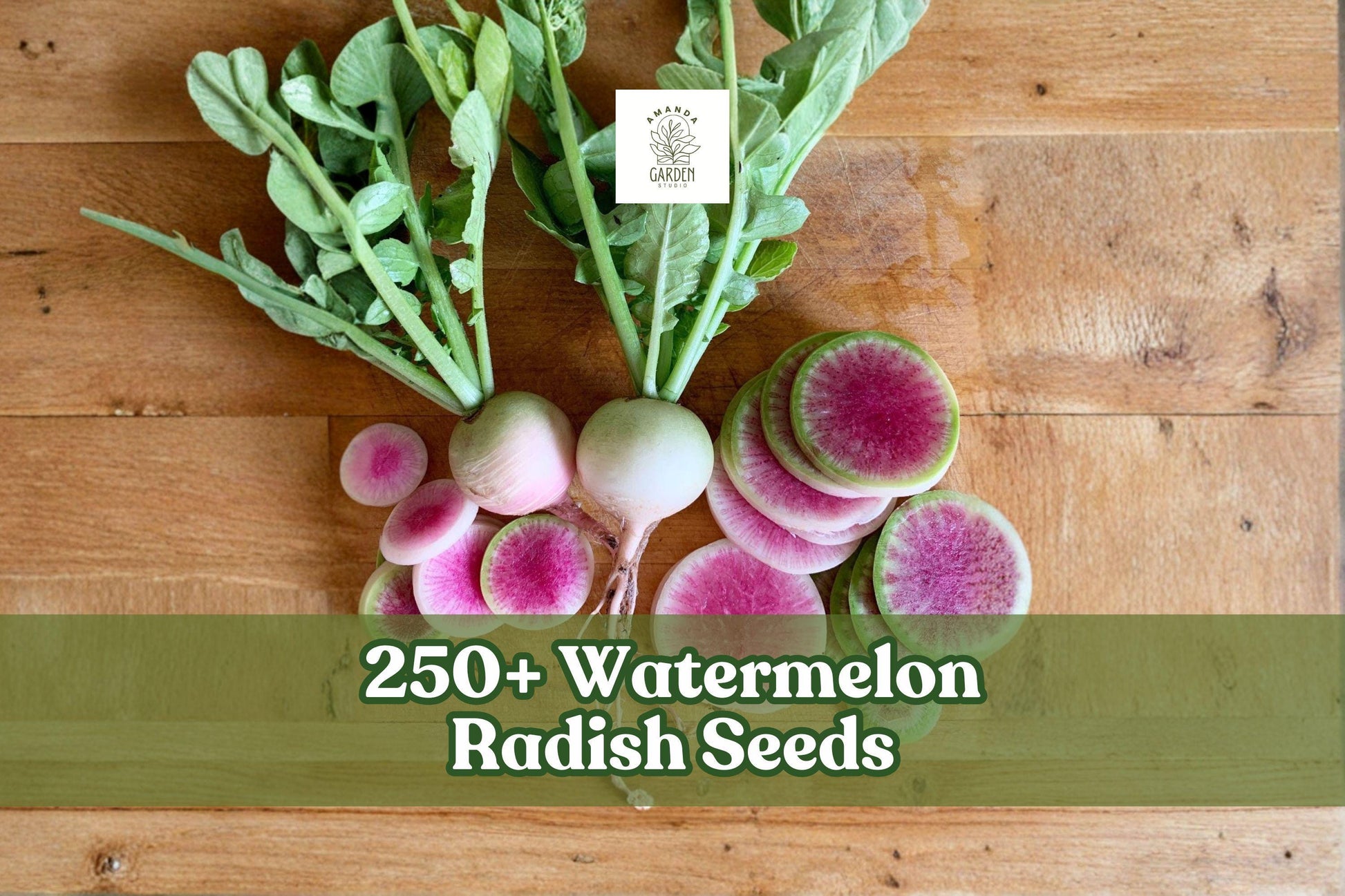 250+ Watermelon Radish Seeds - Heirloom Vegetable with Pink Center, Raphanus sativus, for Home Gardening and Raised Beds