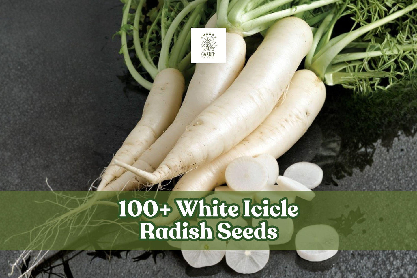White Icicle Radish Seeds - 100+ Non-GMO Heirloom Seeds for Home Gardening - Raphanus sativus - Fast-Growing White Radishes