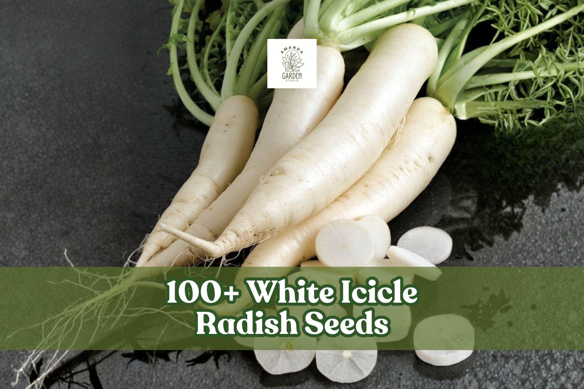 White Icicle Radish Seeds - 100+ Non-GMO Heirloom Seeds for Home Gardening - Raphanus sativus - Fast-Growing White Radishes
