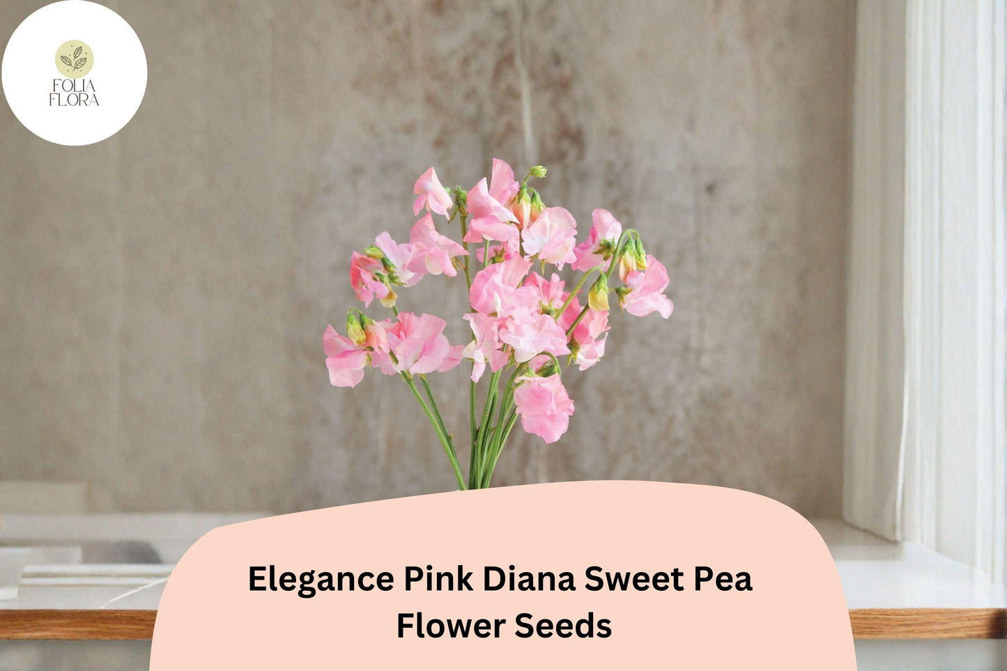 Sweet Pea Seeds - 50+ Elegance Pink Diana, Climbing Vine, Lathyrus odoratus - Ornamental Garden Use