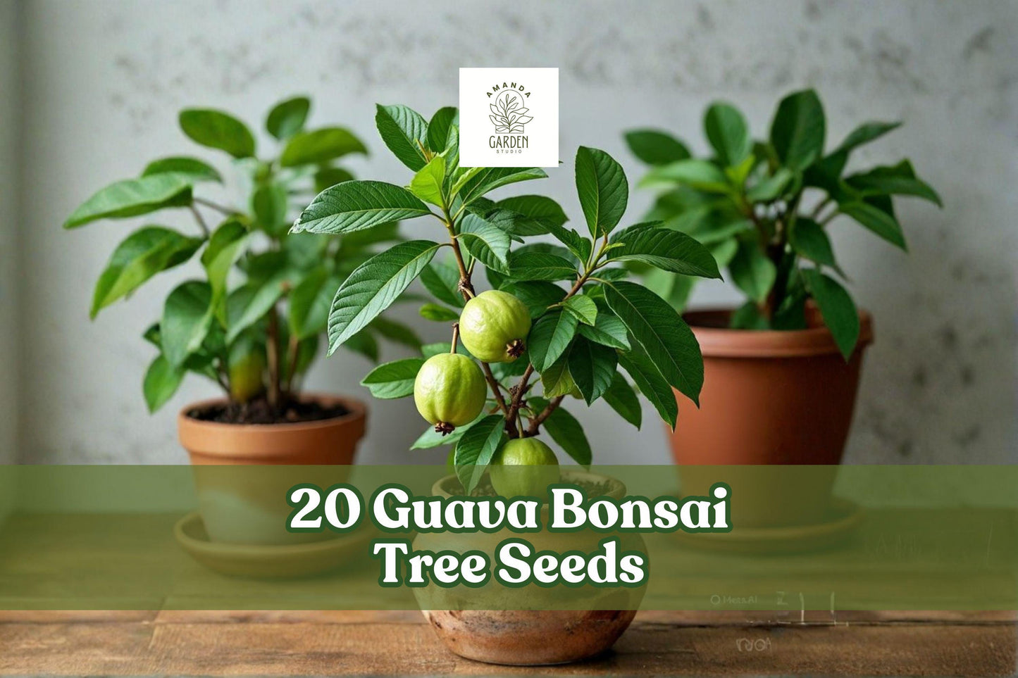 Guava Bonsai Tree Seeds - 20 Pack for Planting - Tropical Fruit - Psidium guajava - Ideal for Container Growing and Bonsai Cultivation