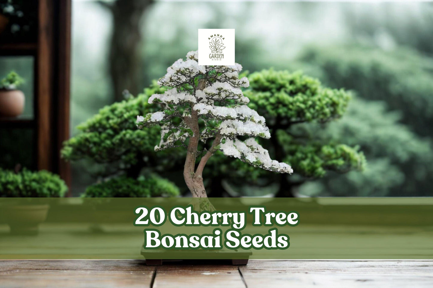Cherry Tree Bonsai Seeds - 20 Ornamental Seeds for Planting - Prunus spp. - Ideal for Bonsai Projects & Container Gardening