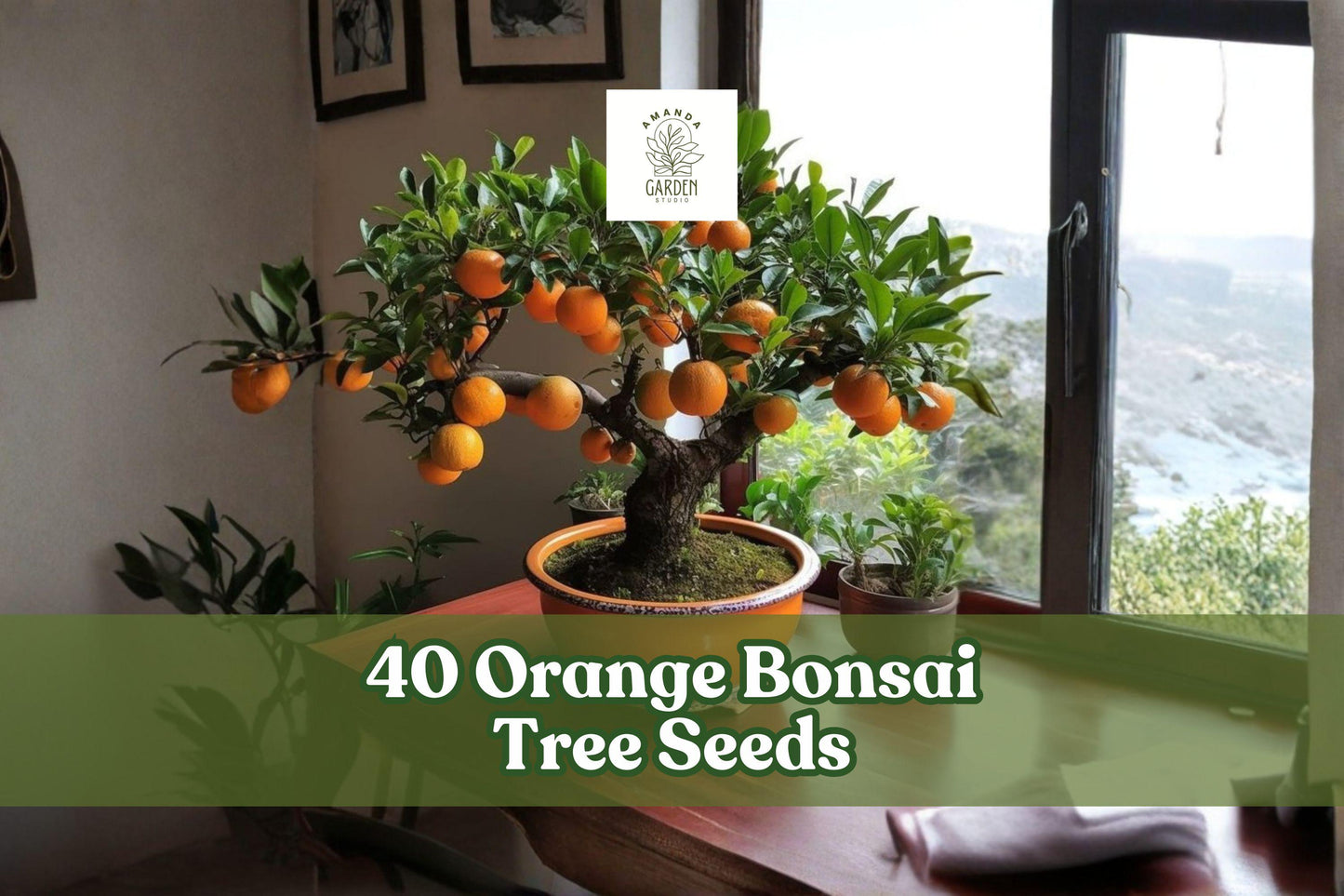 Orange Bonsai Tree Seeds - 40 Citrus sp. Seeds for Planting, Ideal for Indoor/Outdoor Bonsai Cultivation and Container Gardening