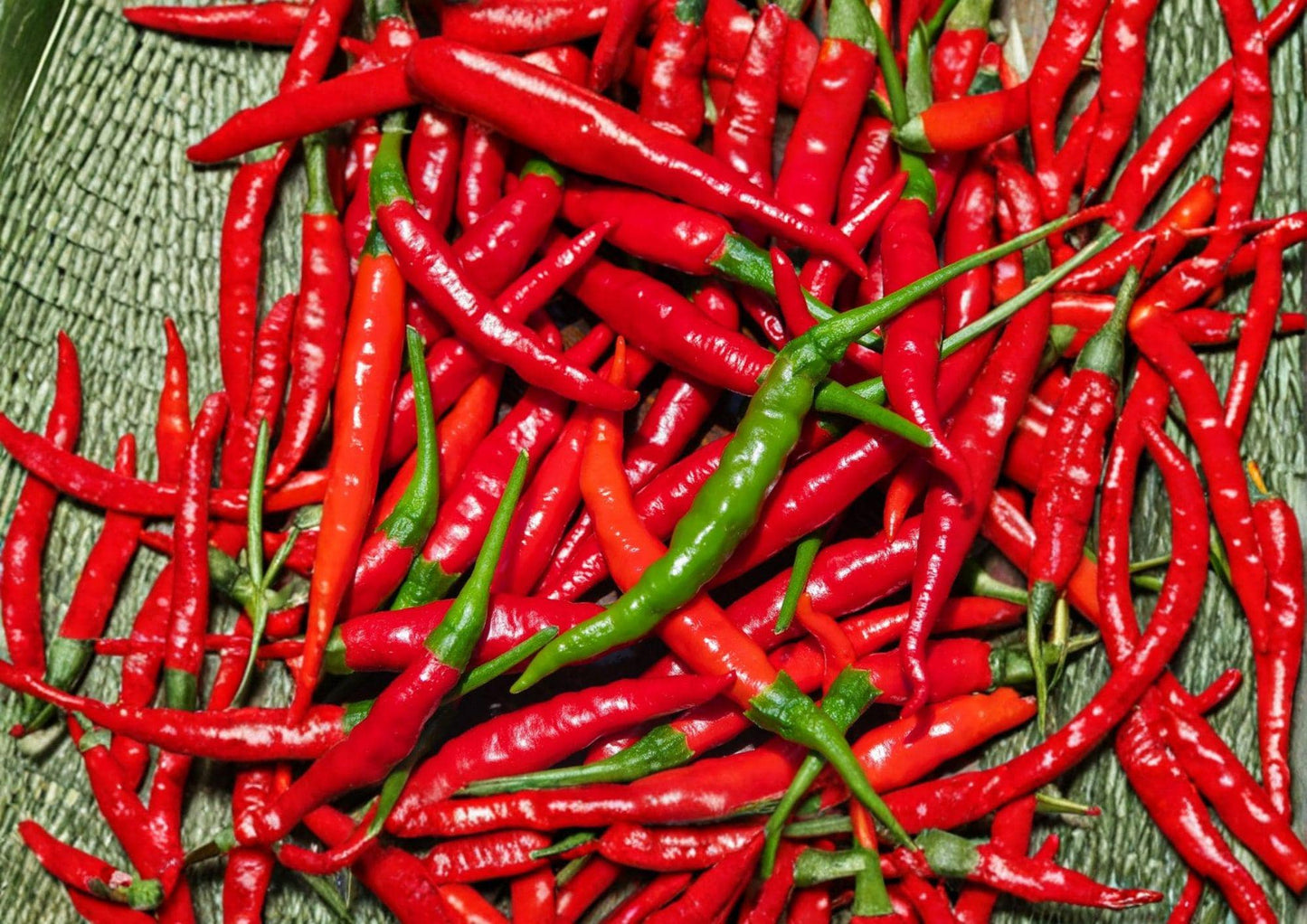 Red Long Cayenne Pepper Seeds – Heirloom Chili Vegetable Seeds (25 Seeds) – Capsicum annuum - Spicy Slim Peppers