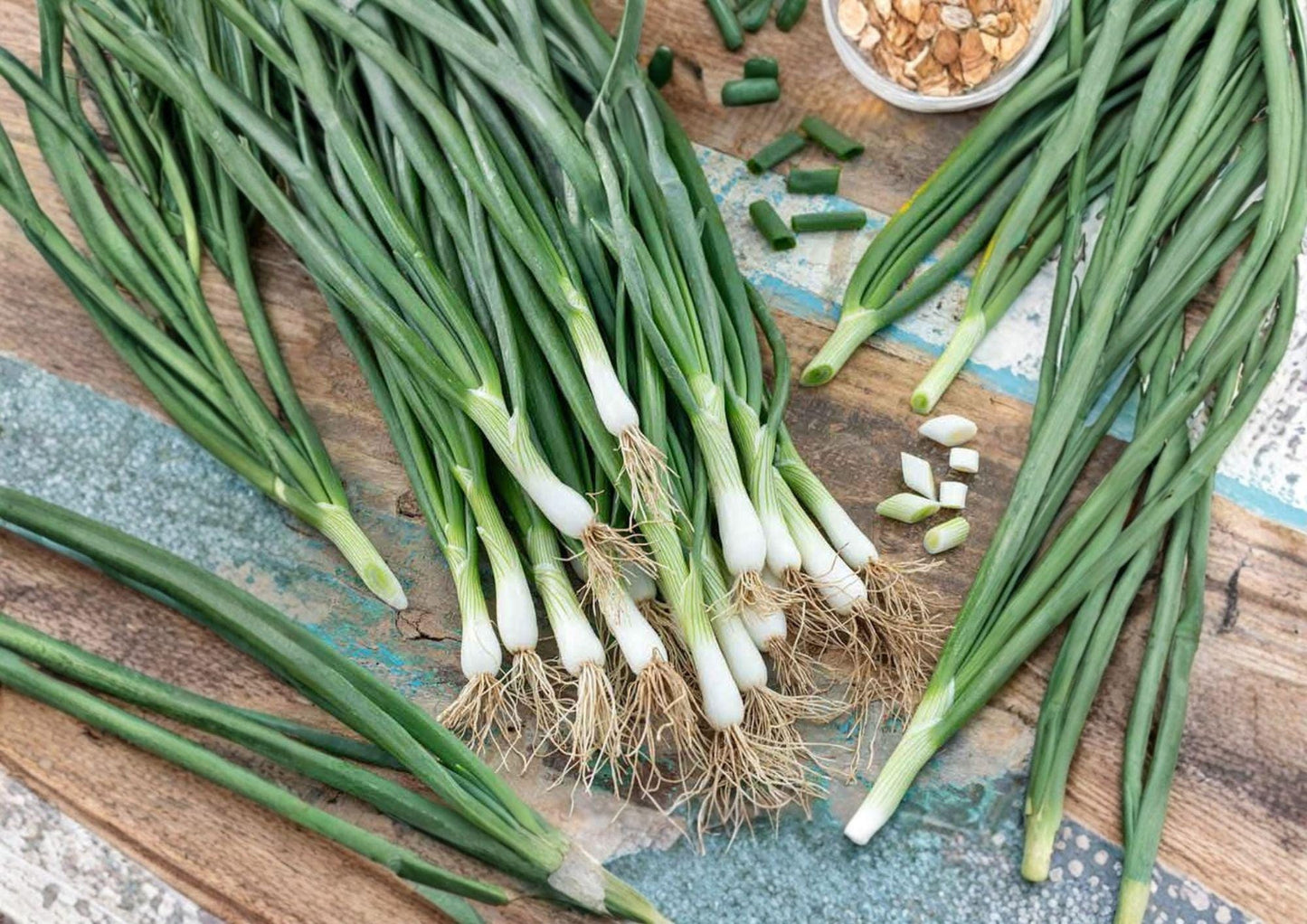 Bunching Onion Seeds - White Lisbon Heirloom - Fast-Growing Vegetable for Spring & Fall Gardens - Allium fistulosum