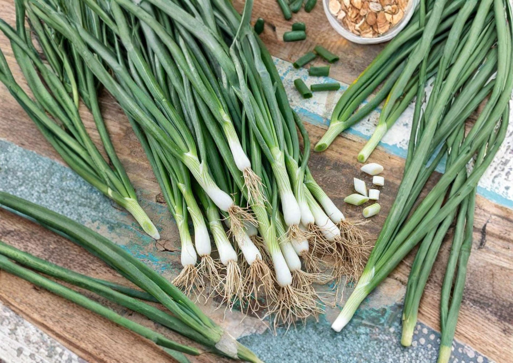 Bunching Onion Seeds - White Lisbon Heirloom - Fast-Growing Vegetable for Spring & Fall Gardens - Allium fistulosum