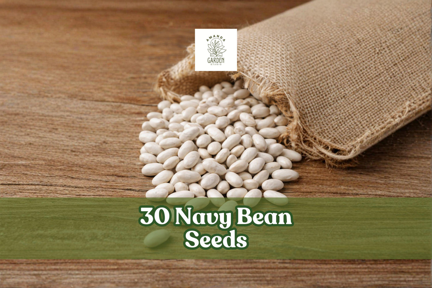 30 Navy Bean Seeds - White Kidney Bean Seeds for Planting - Phaseolus vulgaris - Compact Bush Variety for Home Gardens