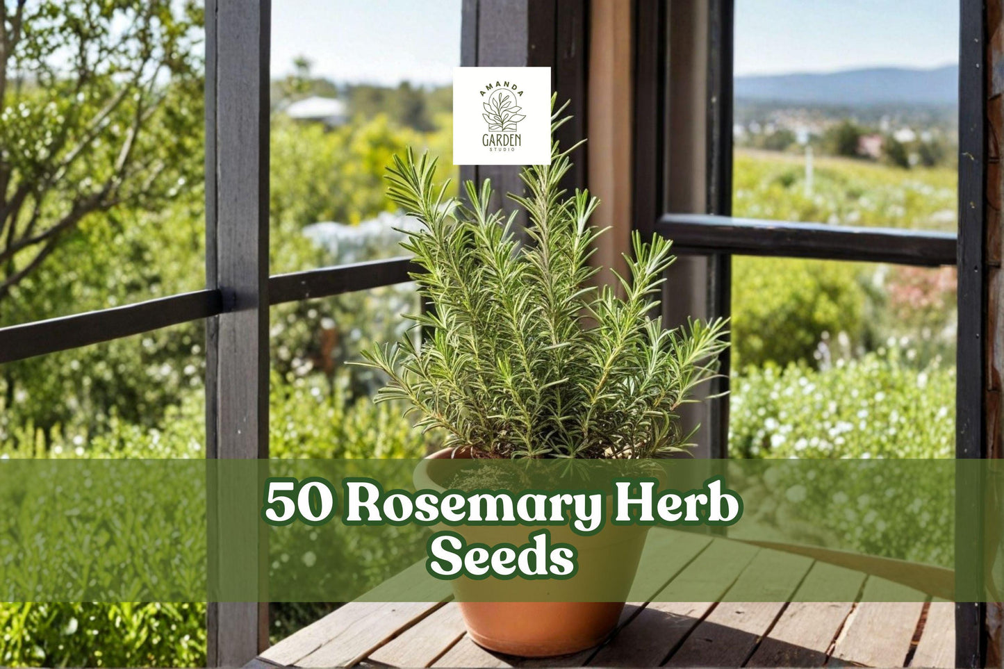Rosemary Herb Seeds - 50 Pack, Salvia rosmarinus, Aromatic Culinary & Ornamental Planting, Easy to Grow for Garden & Containers