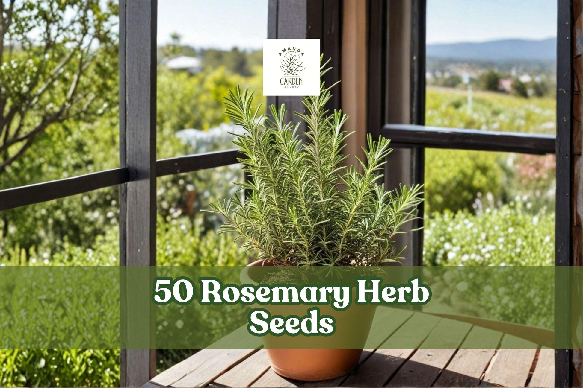 Rosemary Herb Seeds - 50 Pack, Salvia rosmarinus, Aromatic Culinary & Ornamental Planting, Easy to Grow for Garden & Containers