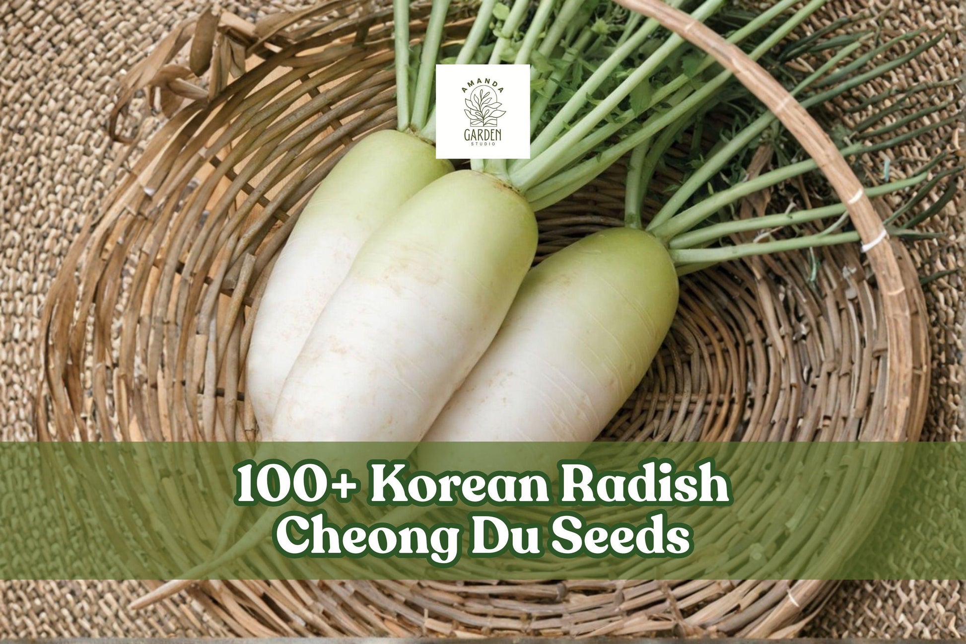 Korean Radish Cheong Du Seeds - 100+ Count - Raphanus sativus - Green Shoulder Variety for Home Garden and Cooking