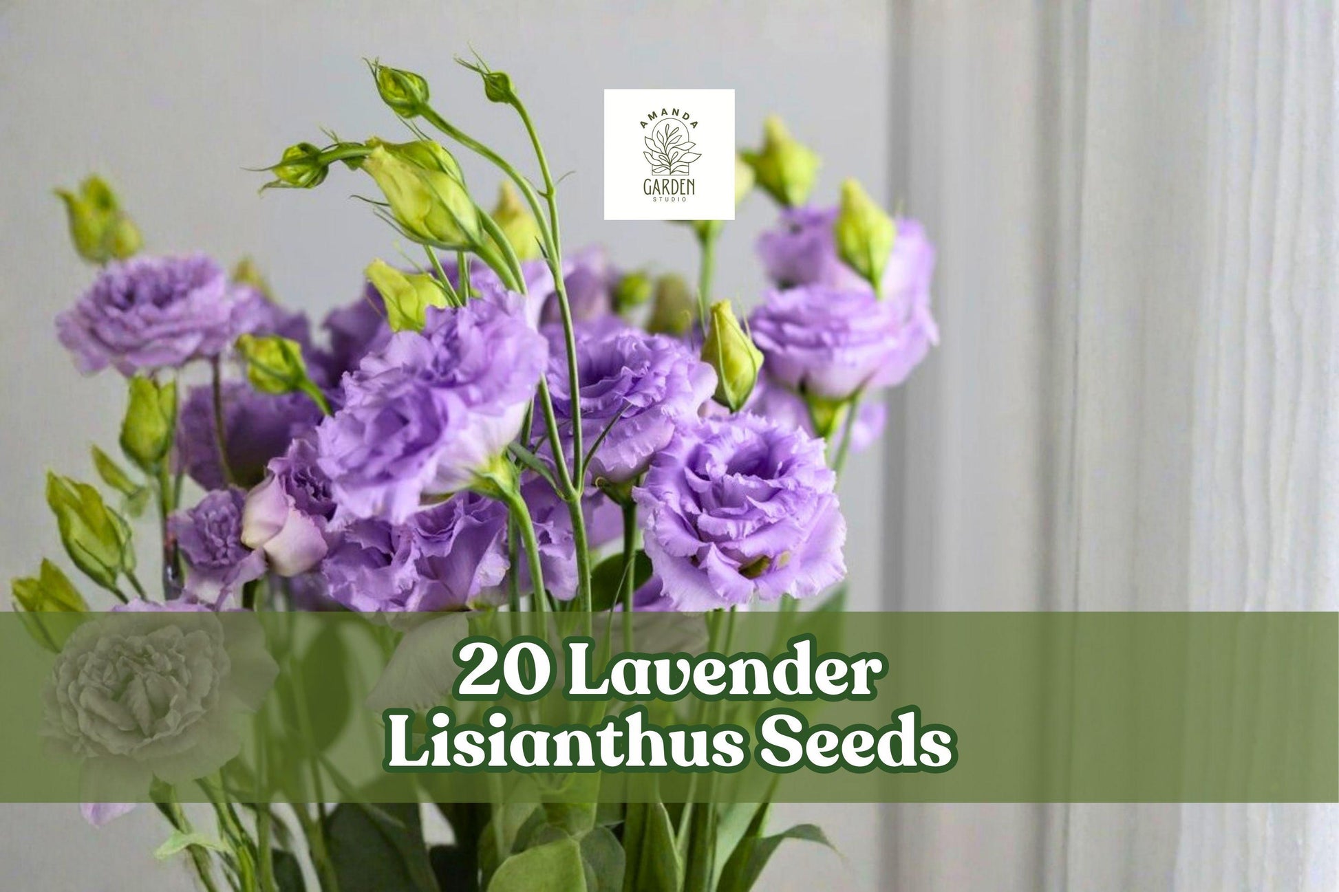 Lavender Lisianthus Seeds - 20 Eustoma grandiflorum for Garden Beds, Borders & Cut Flowers - Elegant Lavender Blooms