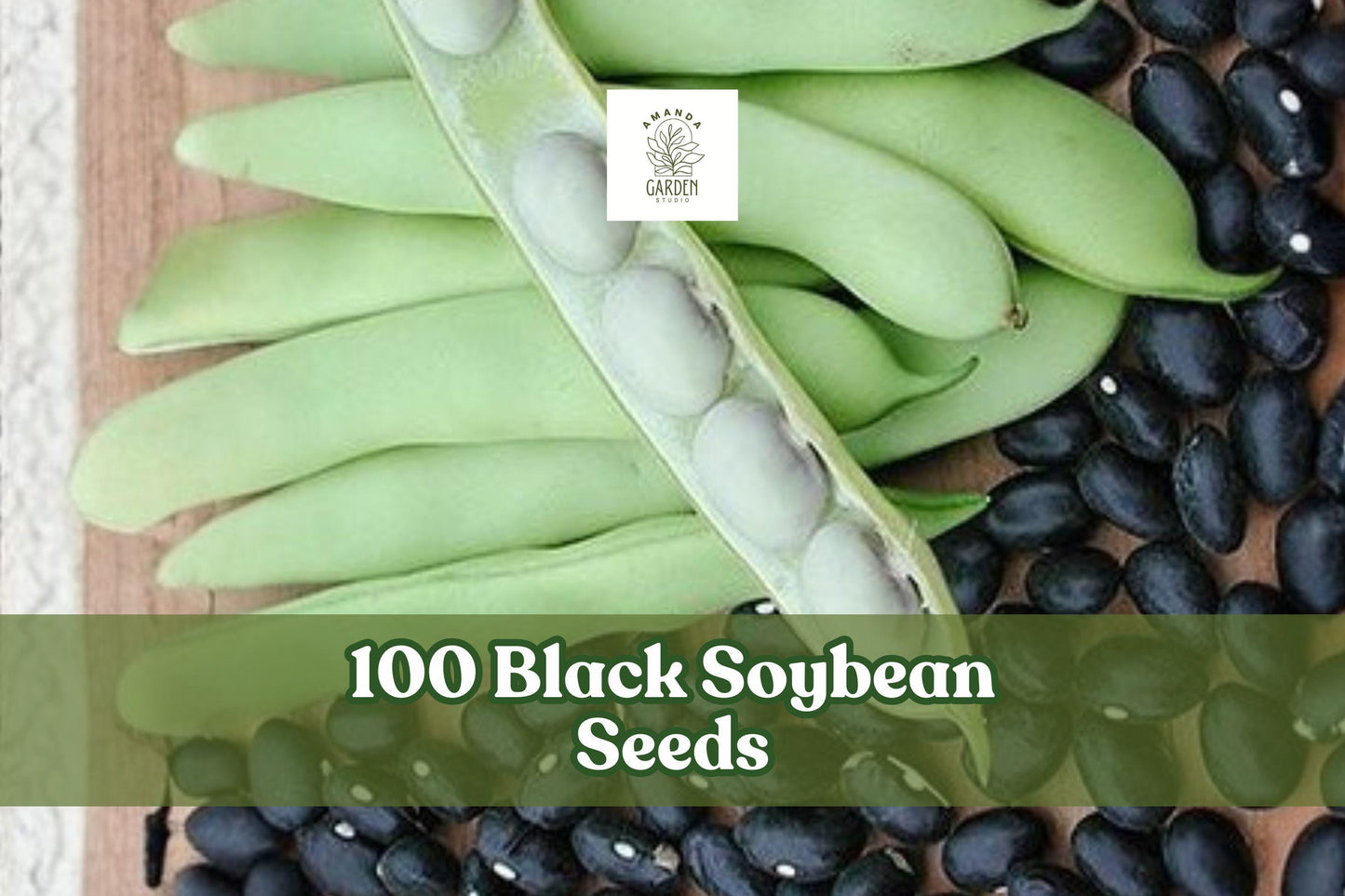 Black Soybean Seeds - 100 Count Non-GMO Glycine max for Sprouting or Garden Planting - Versatile Black Soybeans