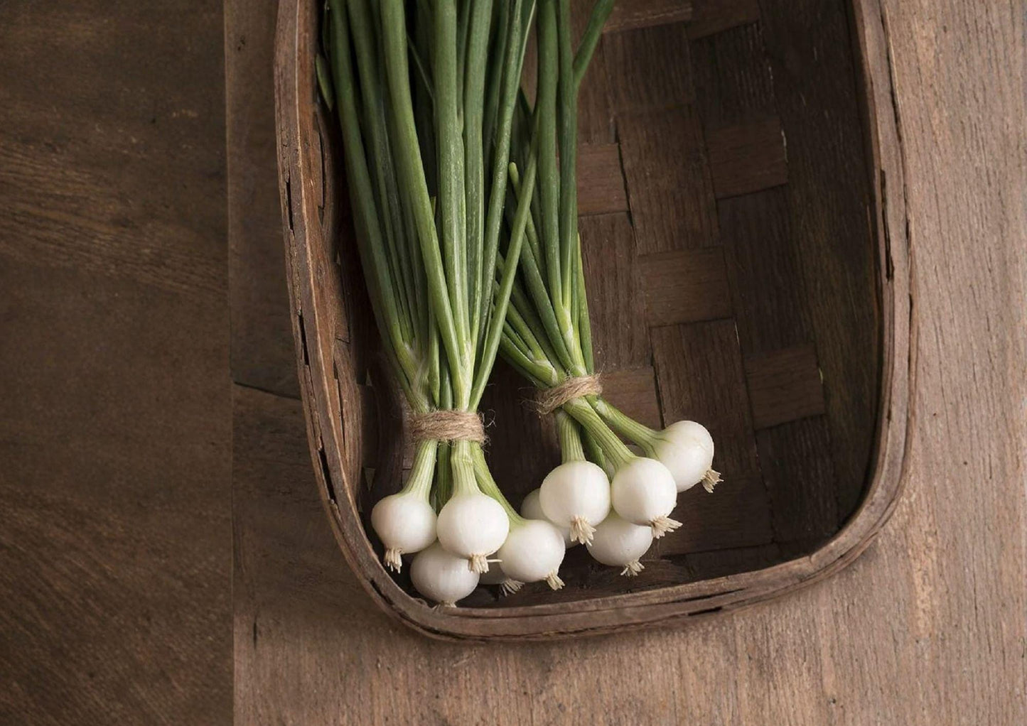 Blanco Duro Onion Seeds - Heirloom White Storage Onions - Allium cepa - Garden Planting Seeds - Bloom Haven Nursery