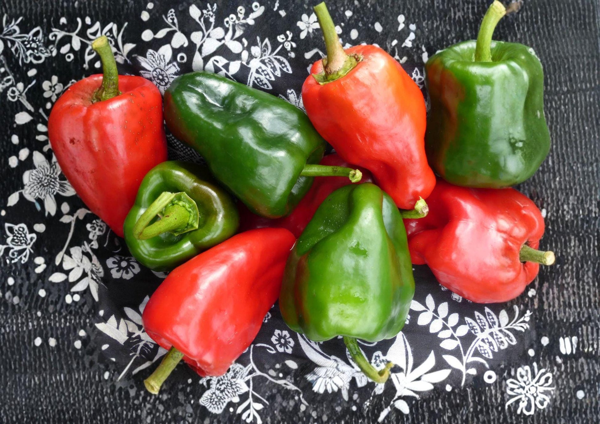 Ancho Poblano Pepper Seeds – Heirloom Chili Seeds for Vegetable Garden (25 Seeds) - Fast Growing Capsicum annuum